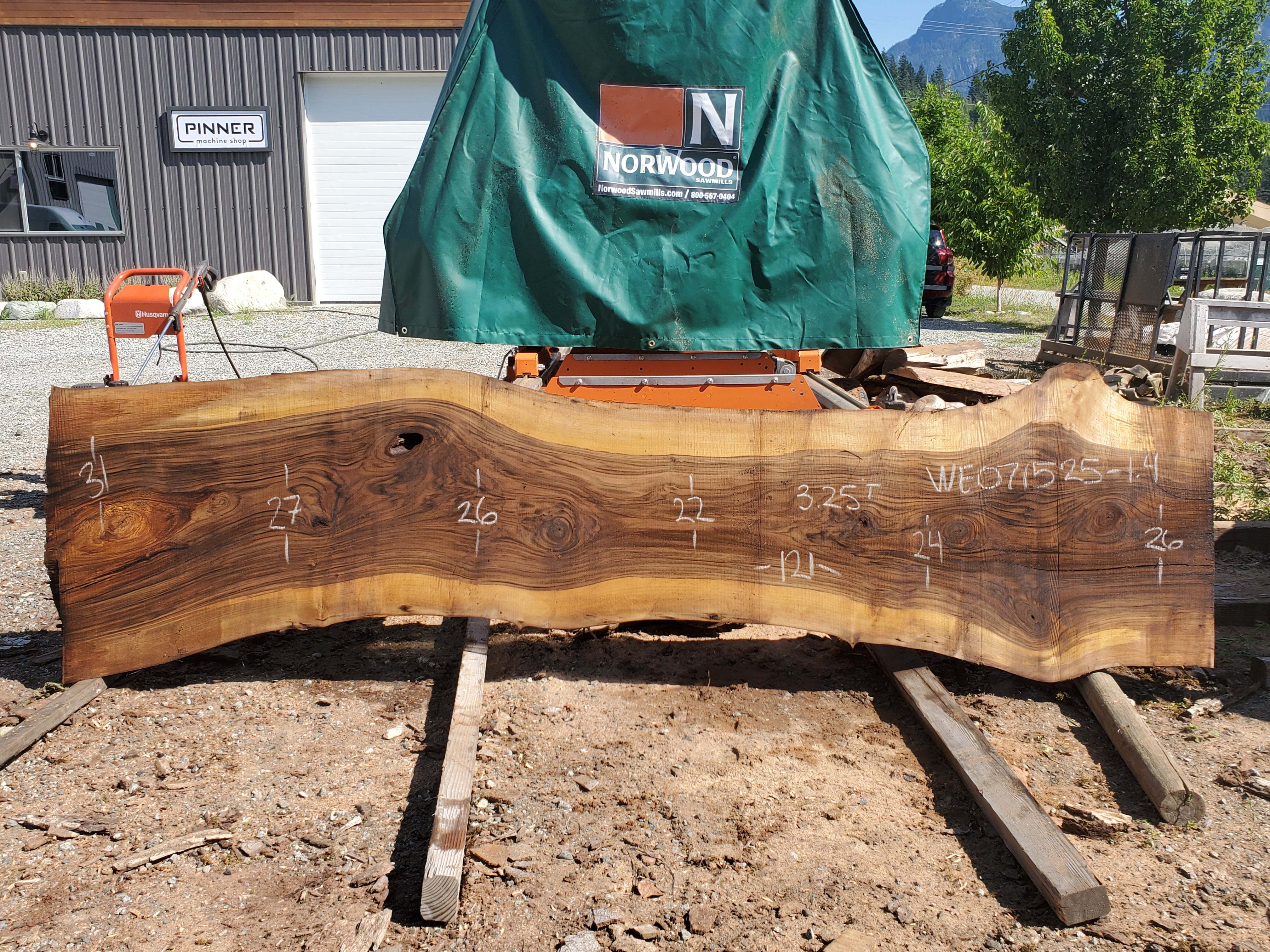 English Walnut - WE071525-1.4