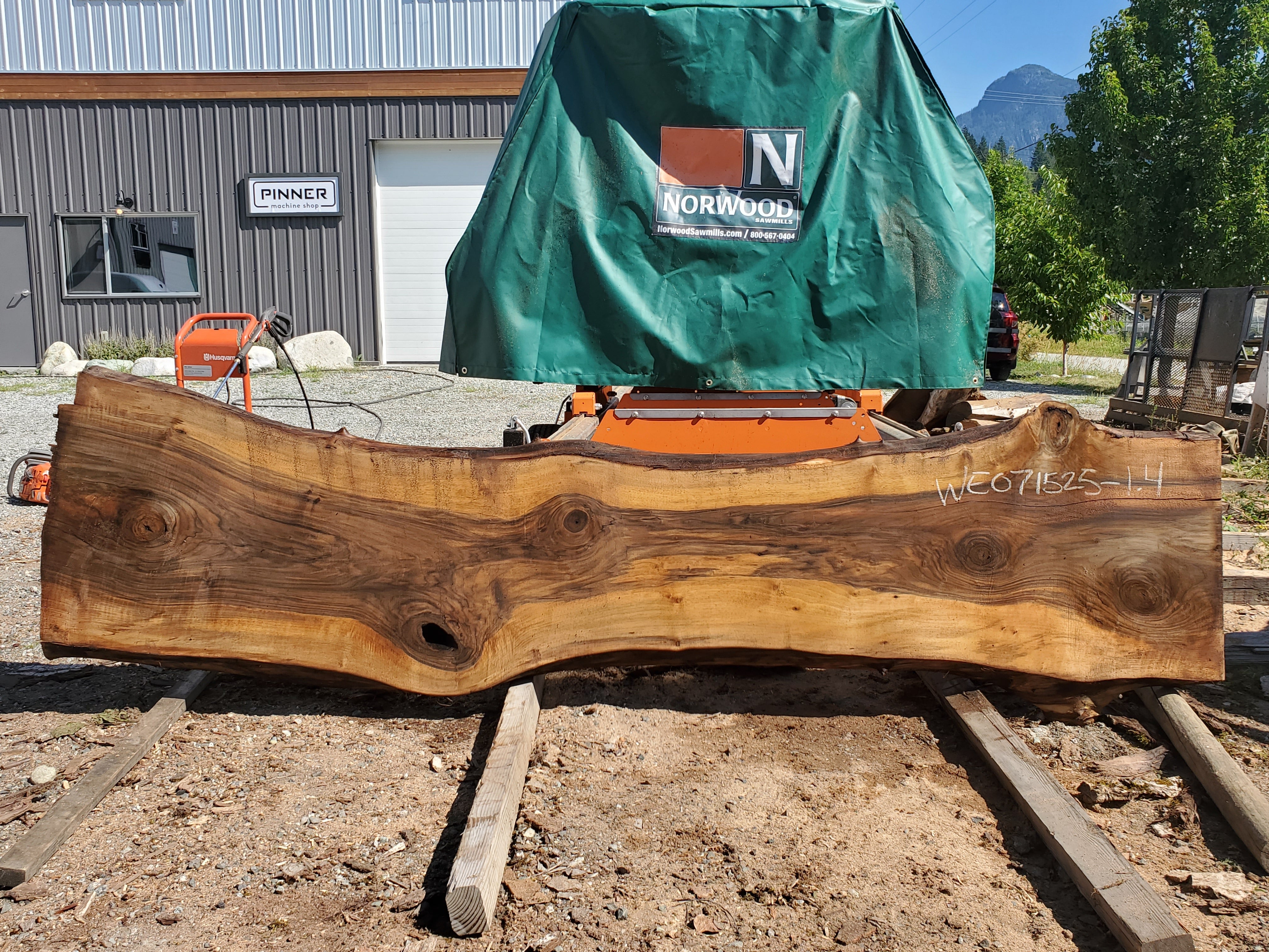 English Walnut - WE071525-1.4