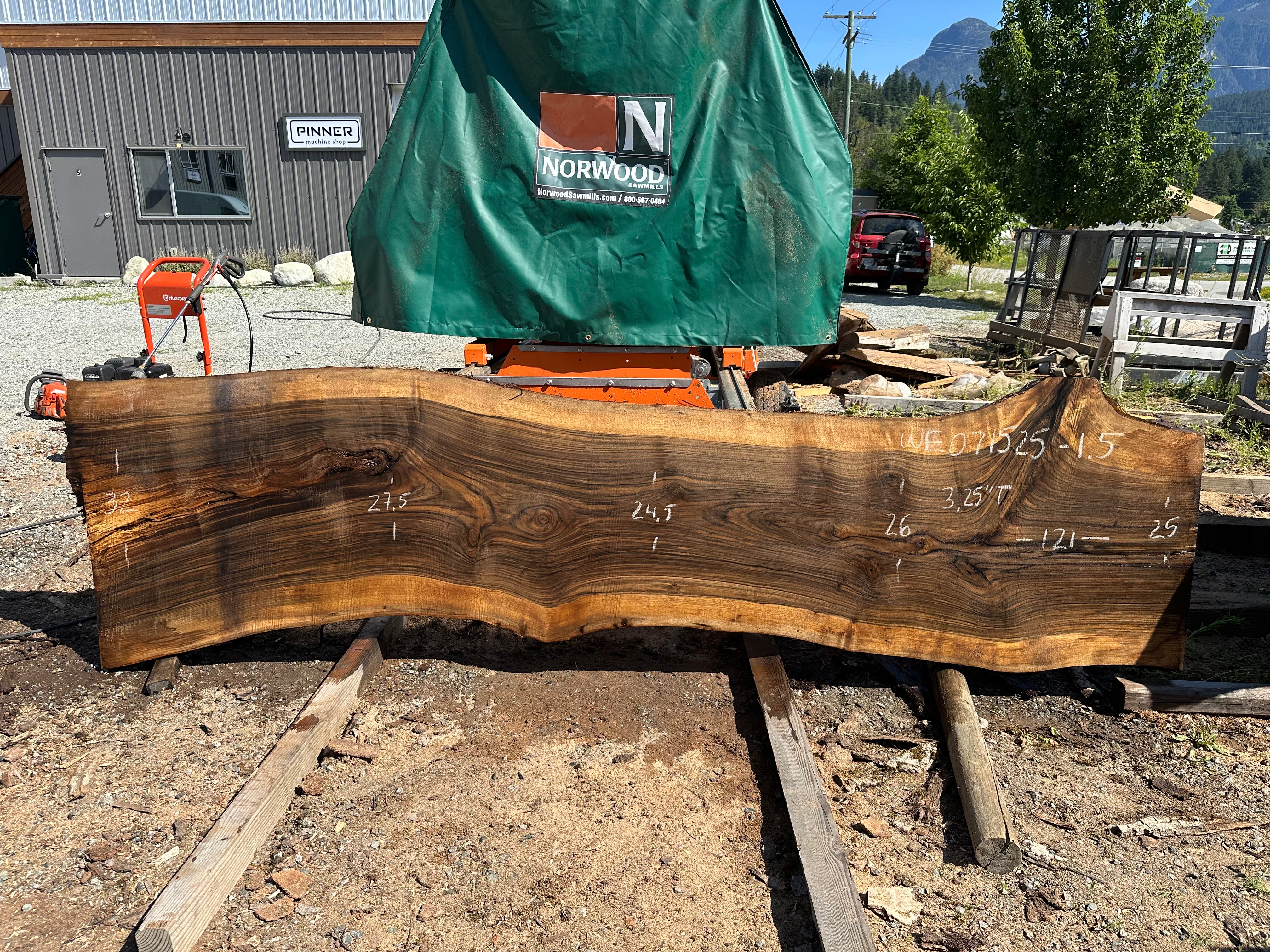 English Walnut - WE071525-1.5
