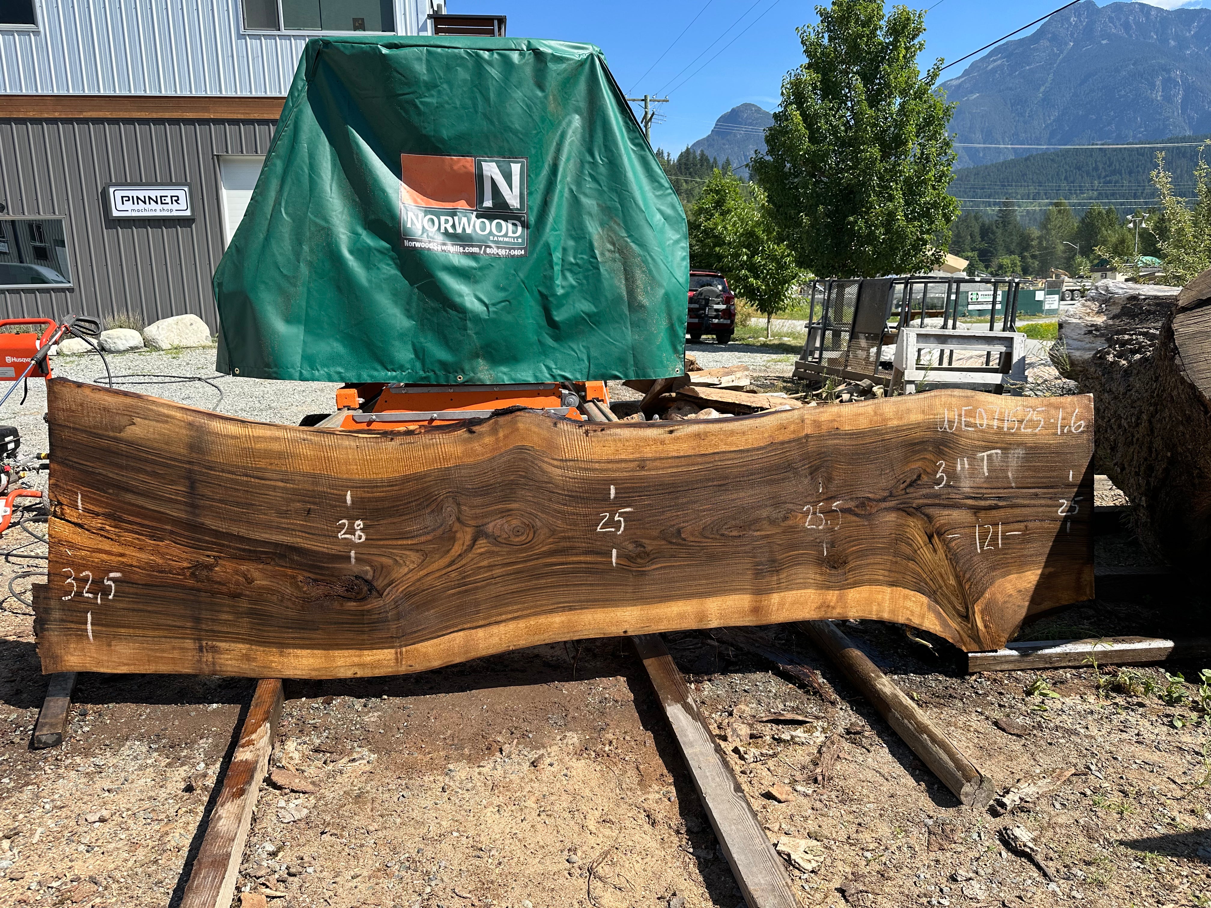 English Walnut - WE071525-1.6