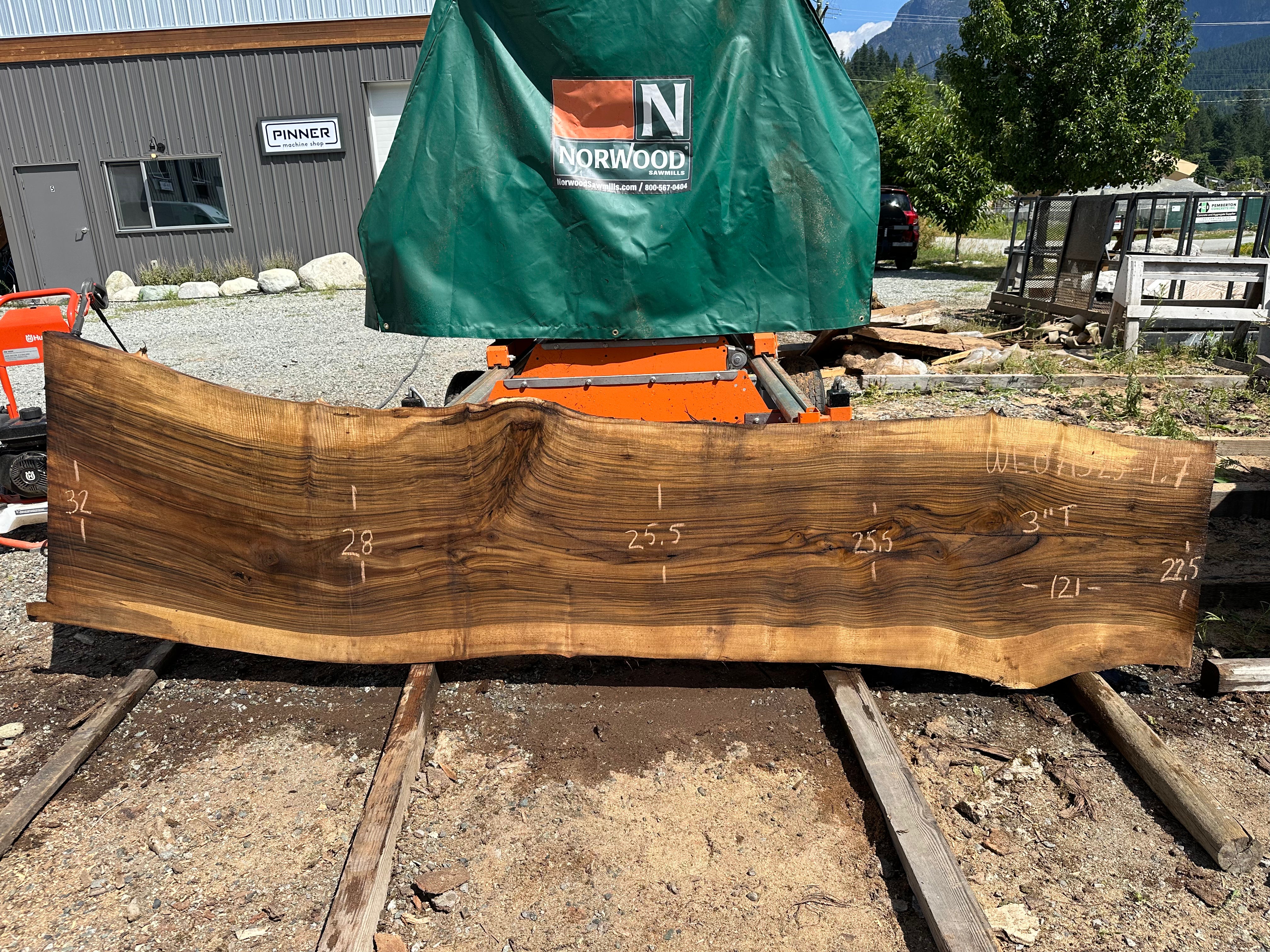 English Walnut - WE071525-1.7