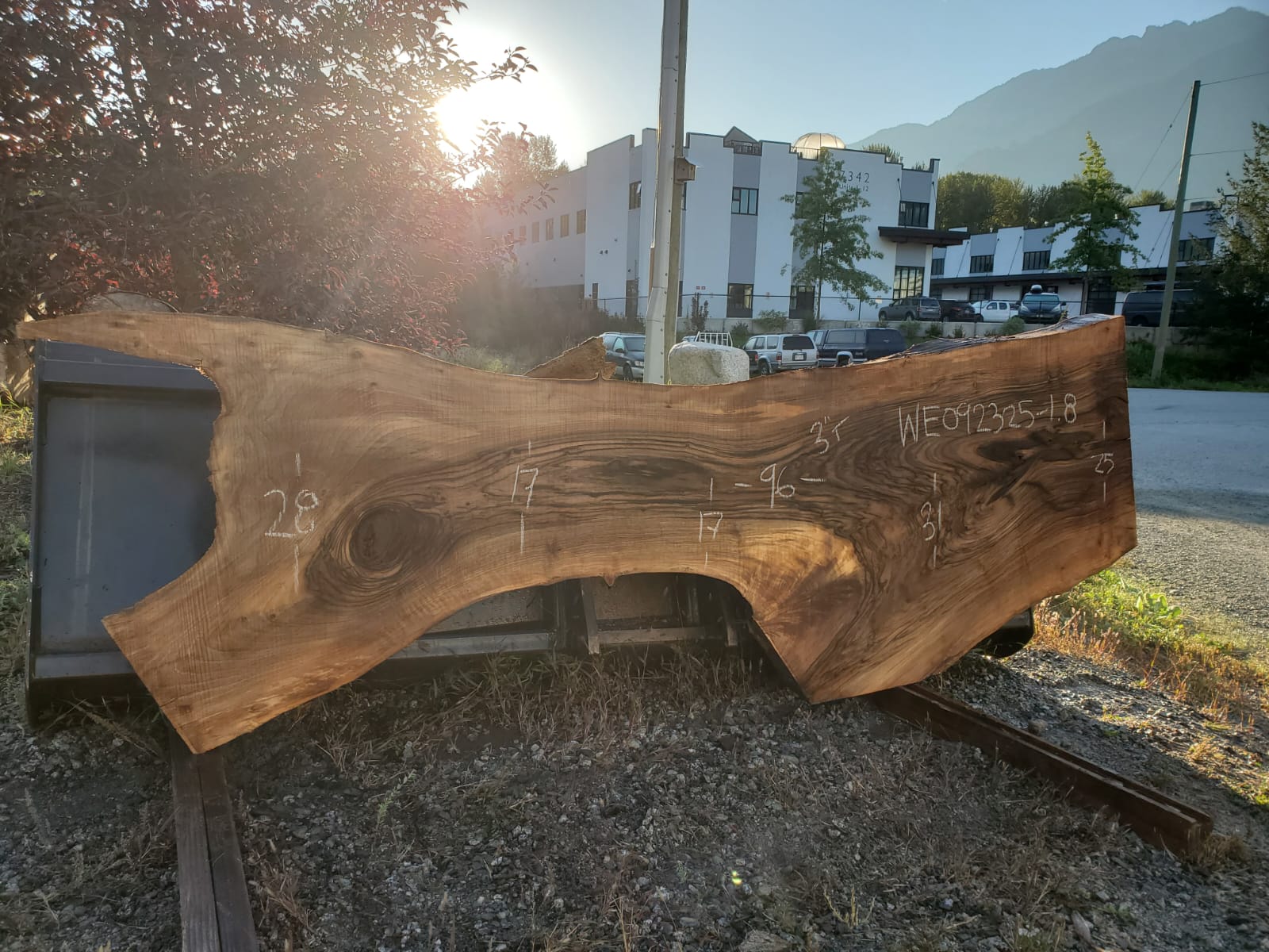 English Walnut - WE092325-1.8