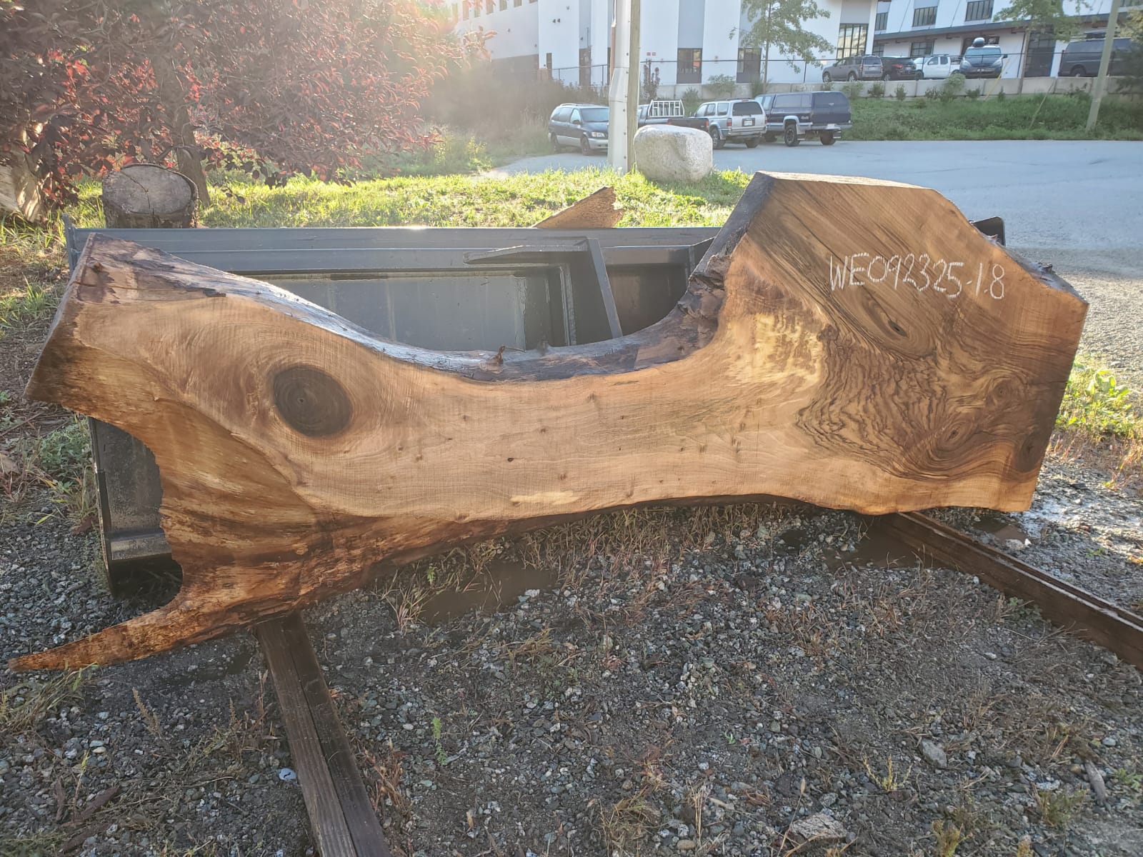 English Walnut - WE092325-1.8
