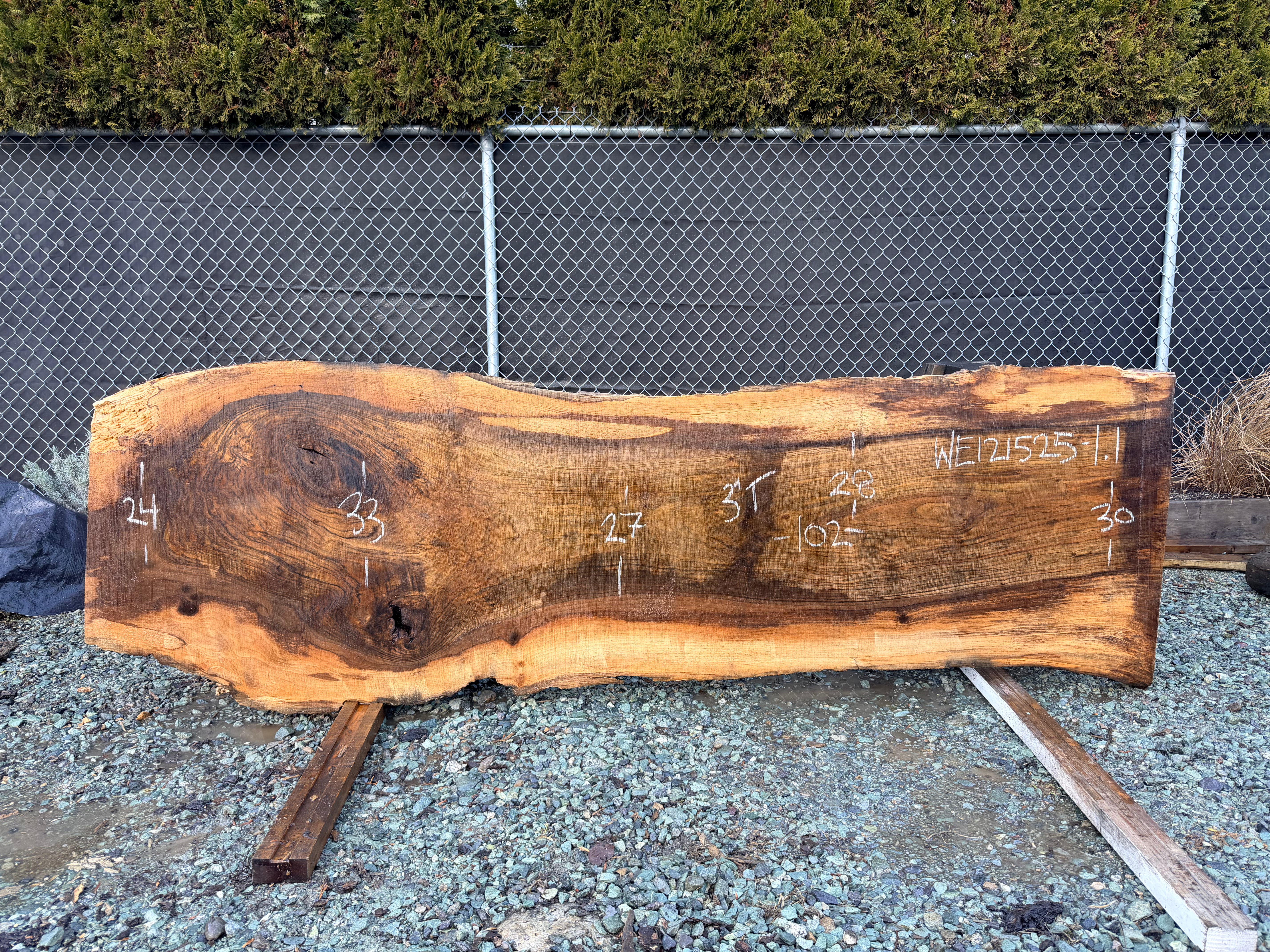 English Walnut - WE121525-1.1