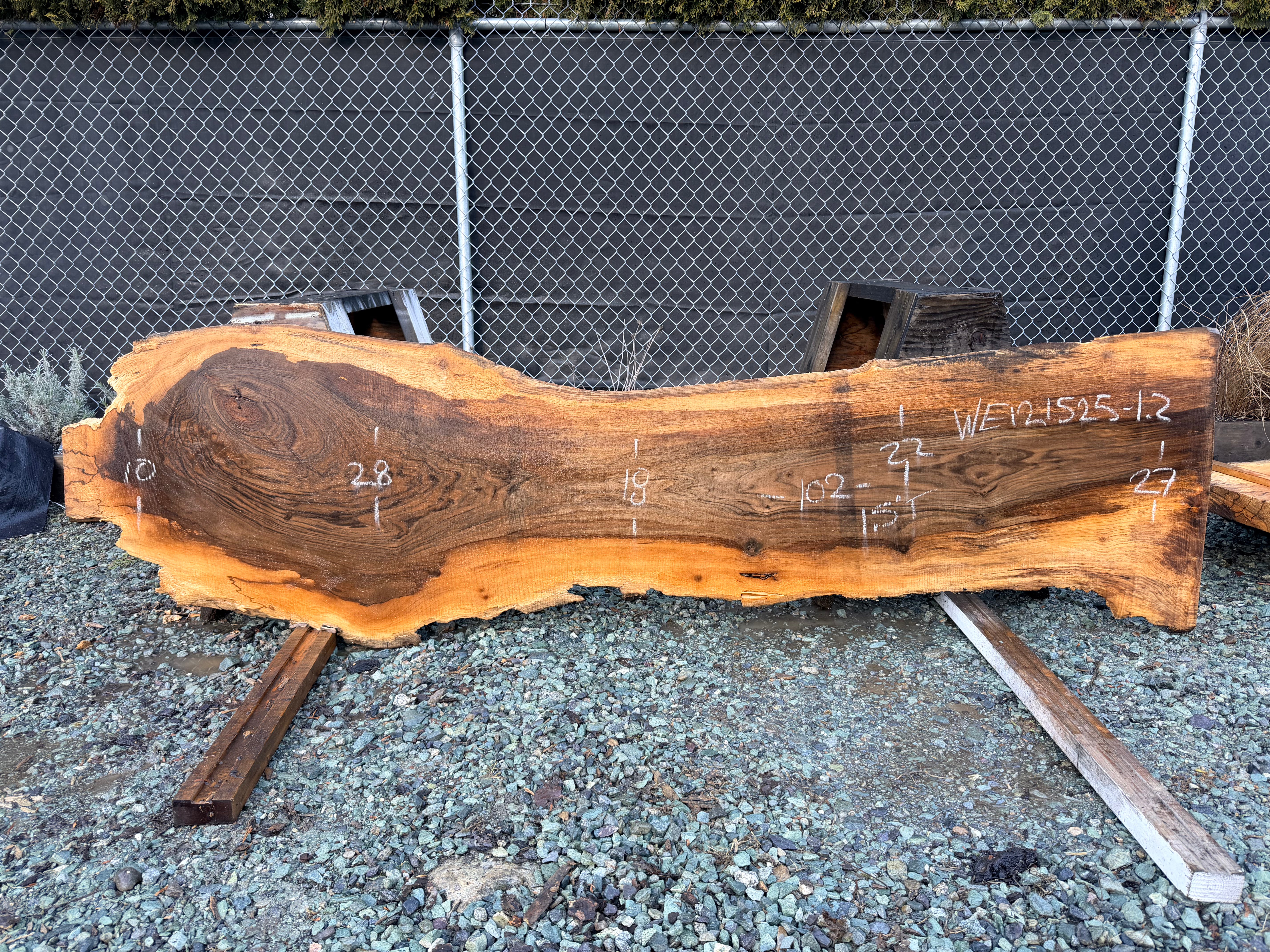 English Walnut - WE121525-1.2