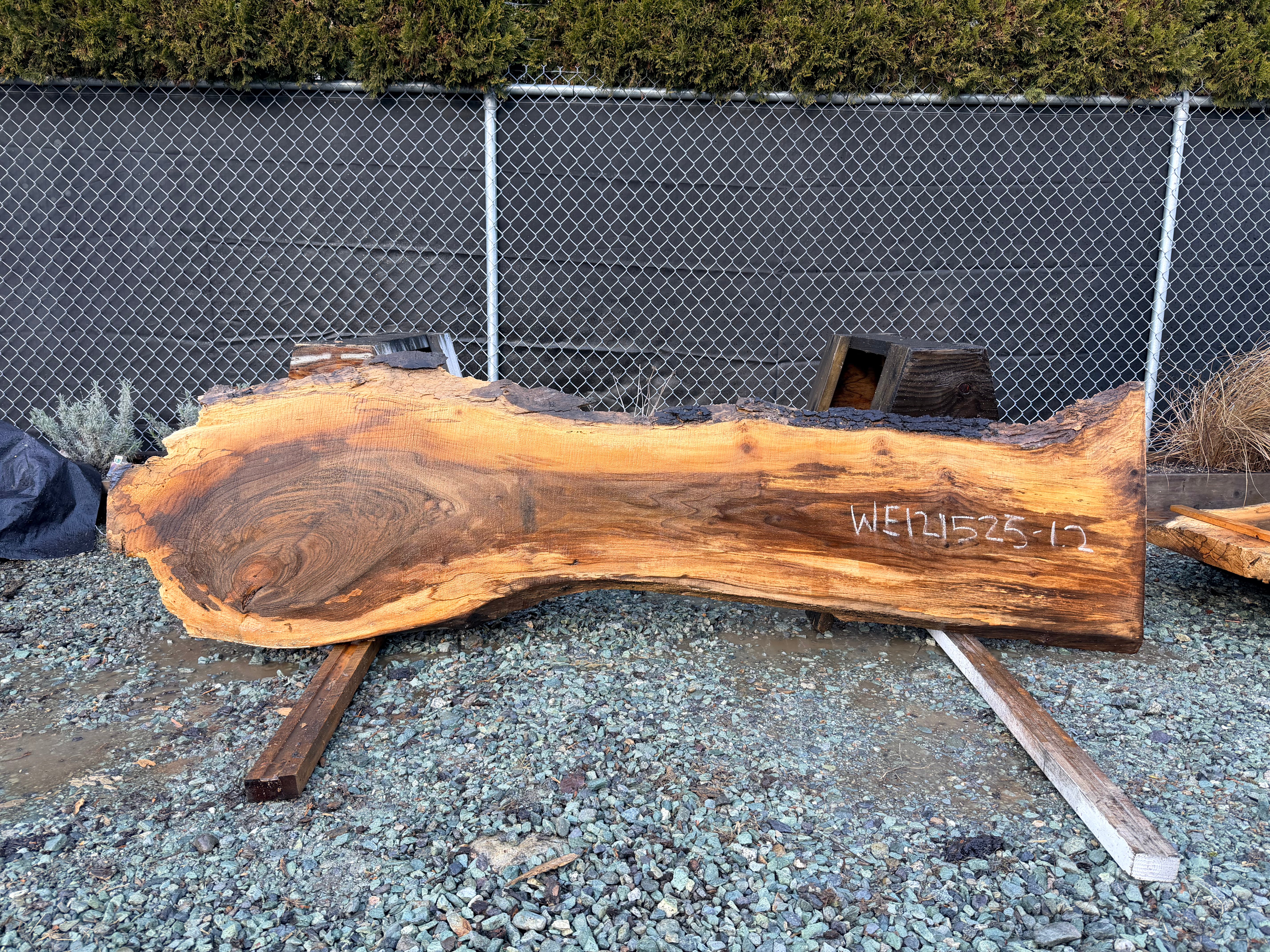 English Walnut - WE121525-1.2