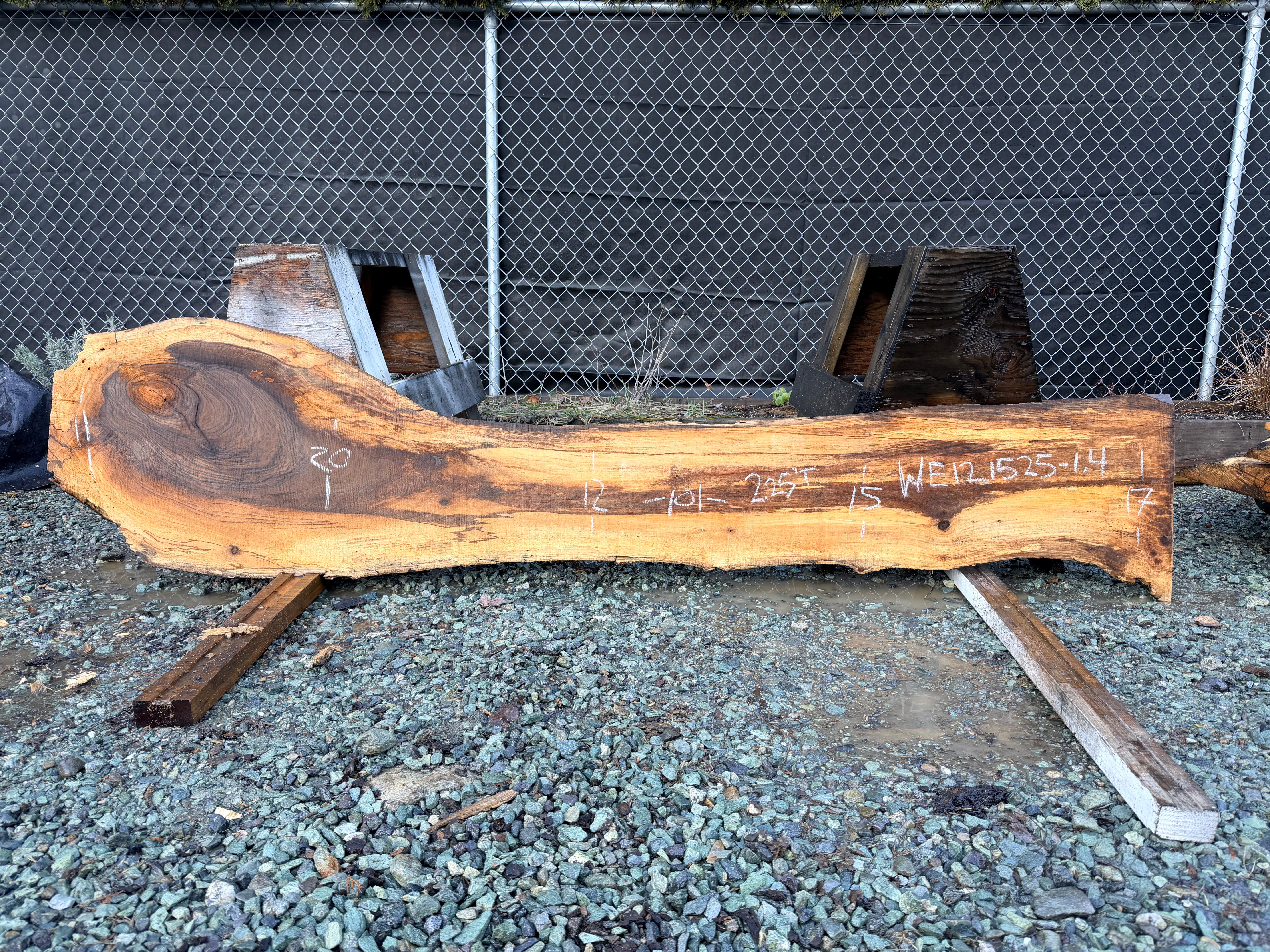 English Walnut - WE121525-1.4