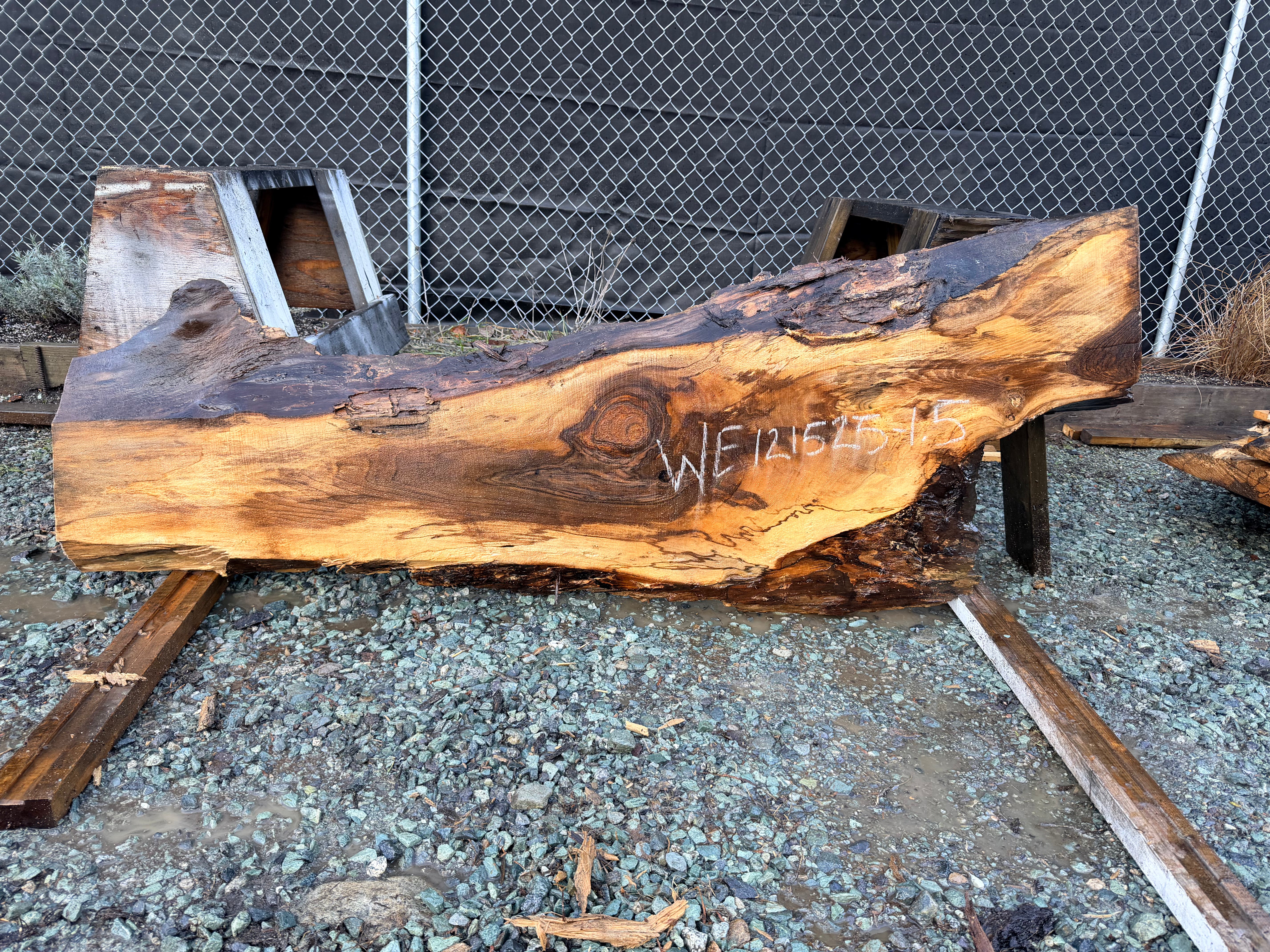 English Walnut - WE121525-1.5
