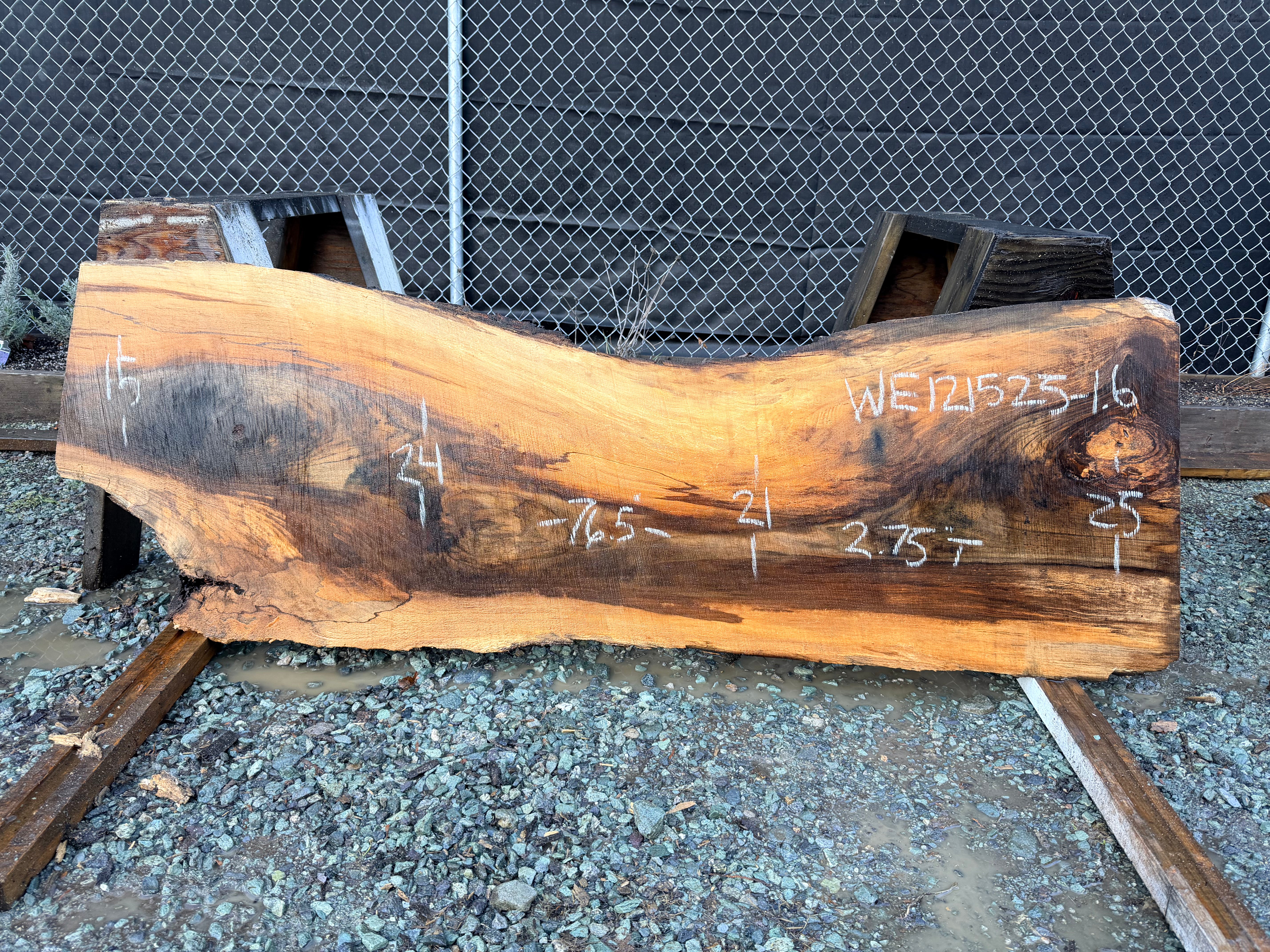 English Walnut - WE121525-1.6