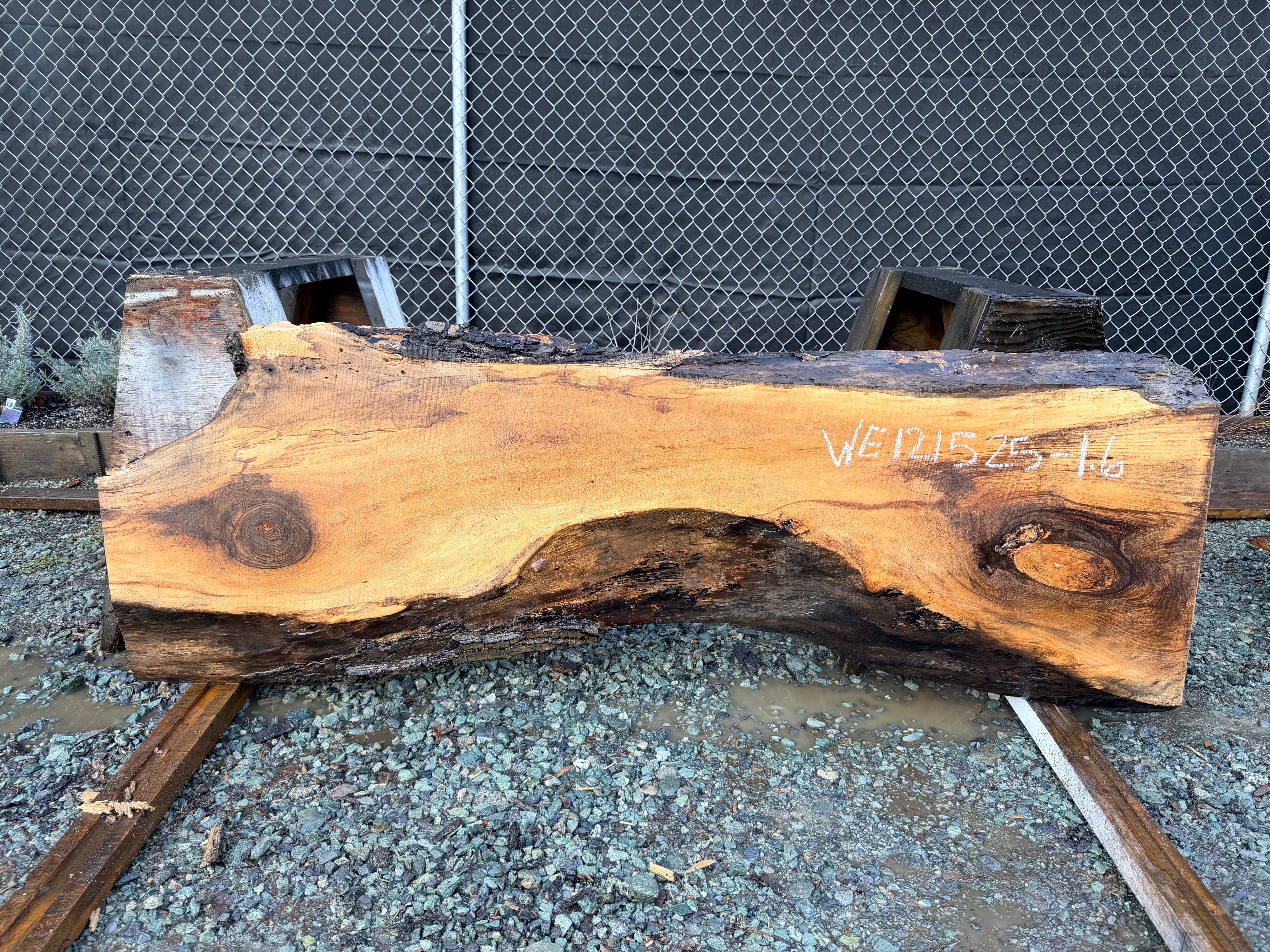 English Walnut - WE121525-1.6