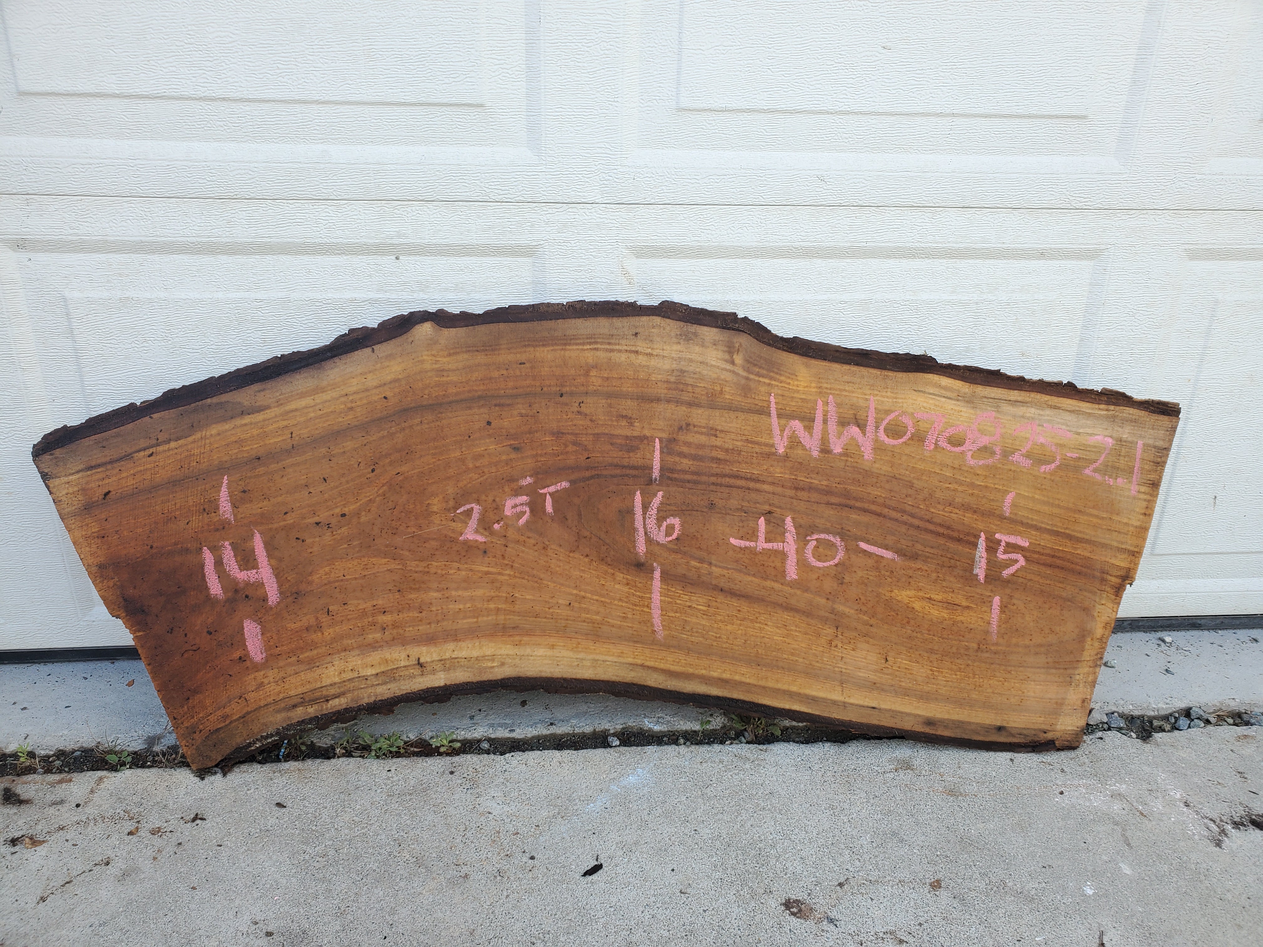 White Walnut - WW070825-2.1
