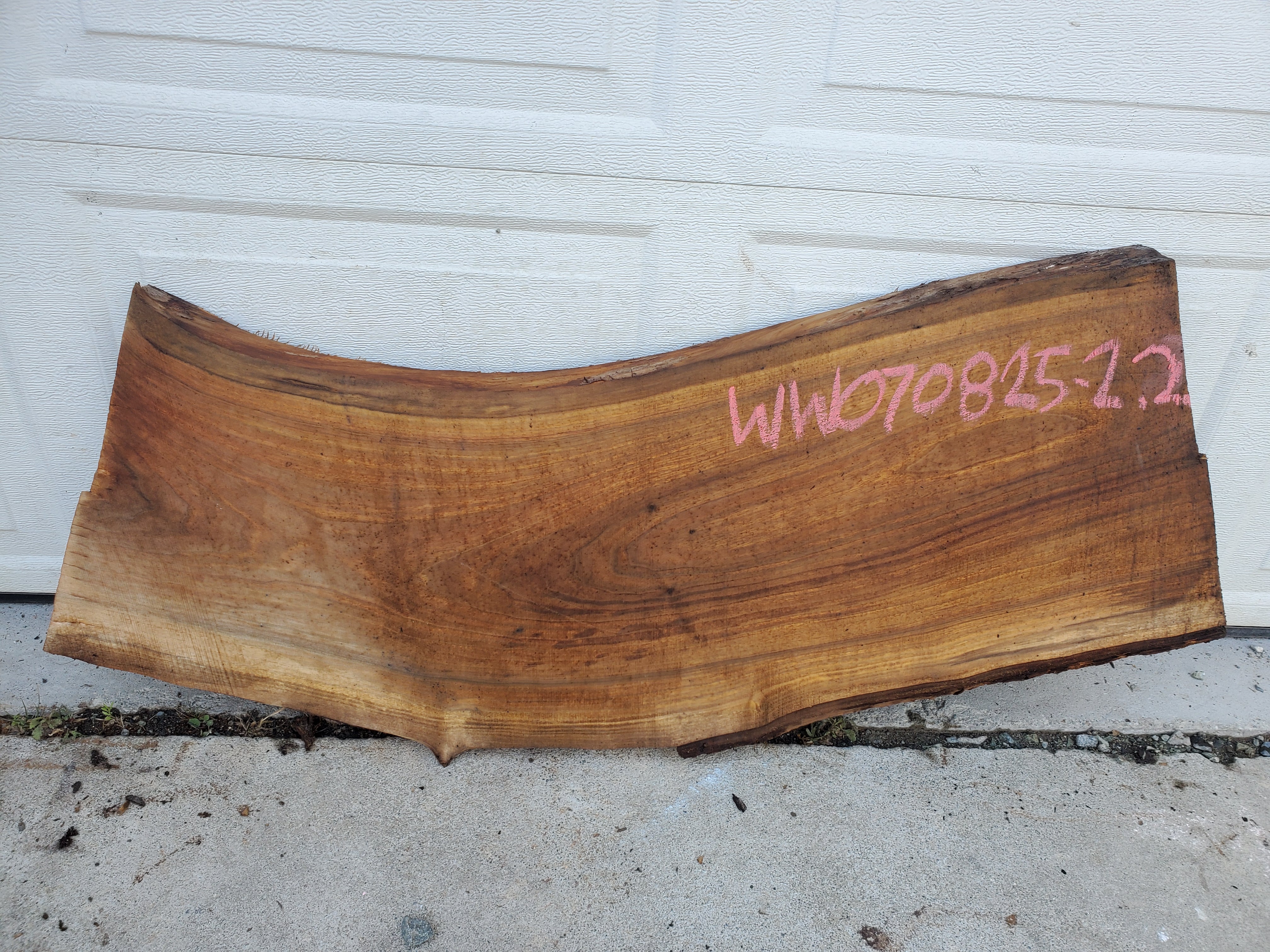 White Walnut - WW070825-2.2