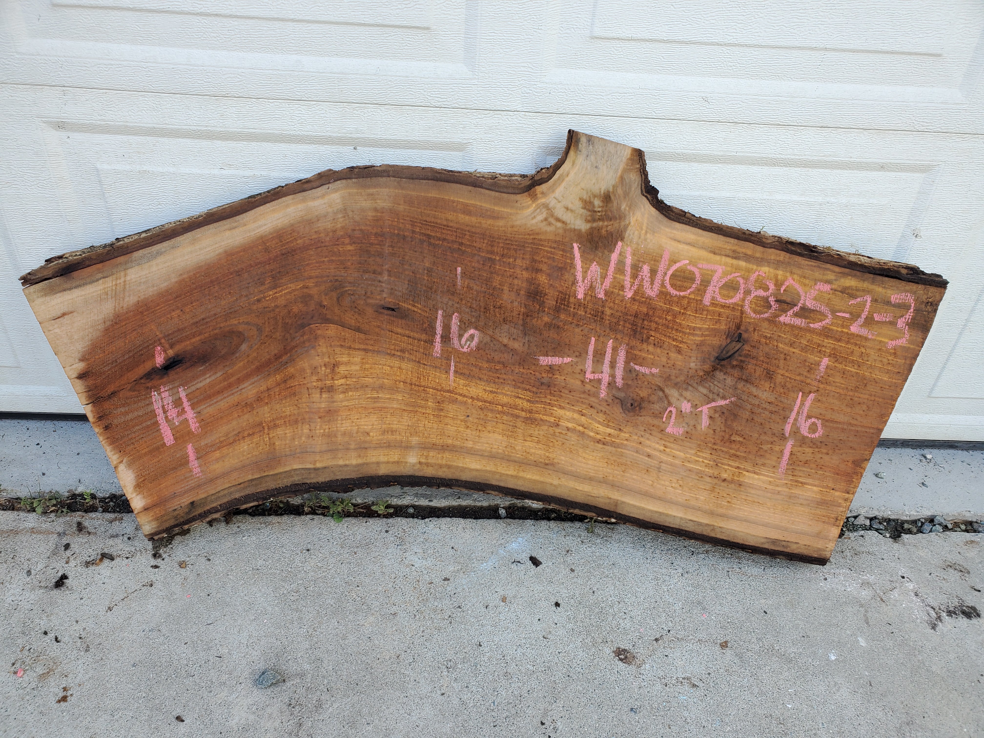 White Walnut - WW070825-2.3