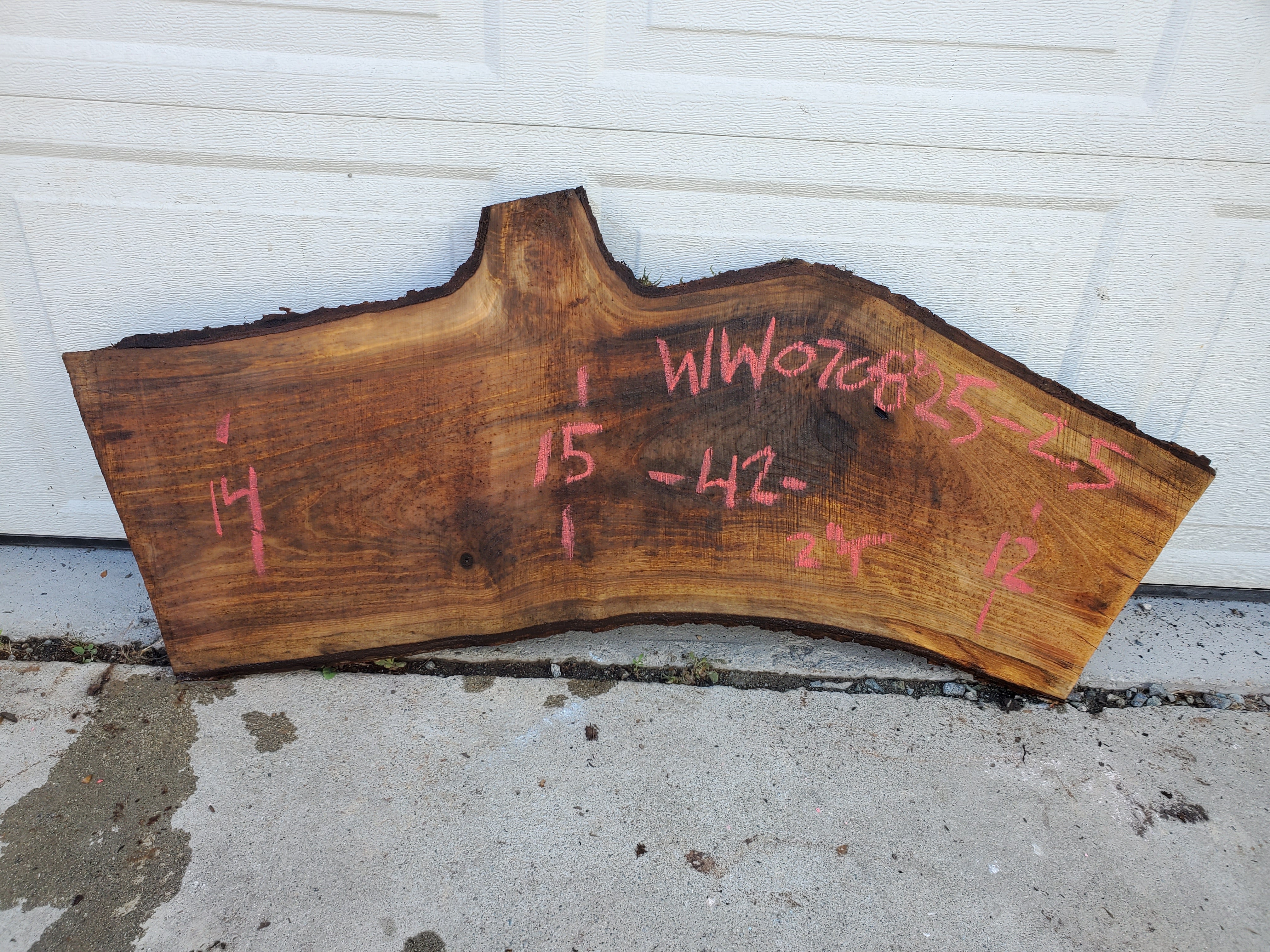 White Walnut - WW070825-2.5