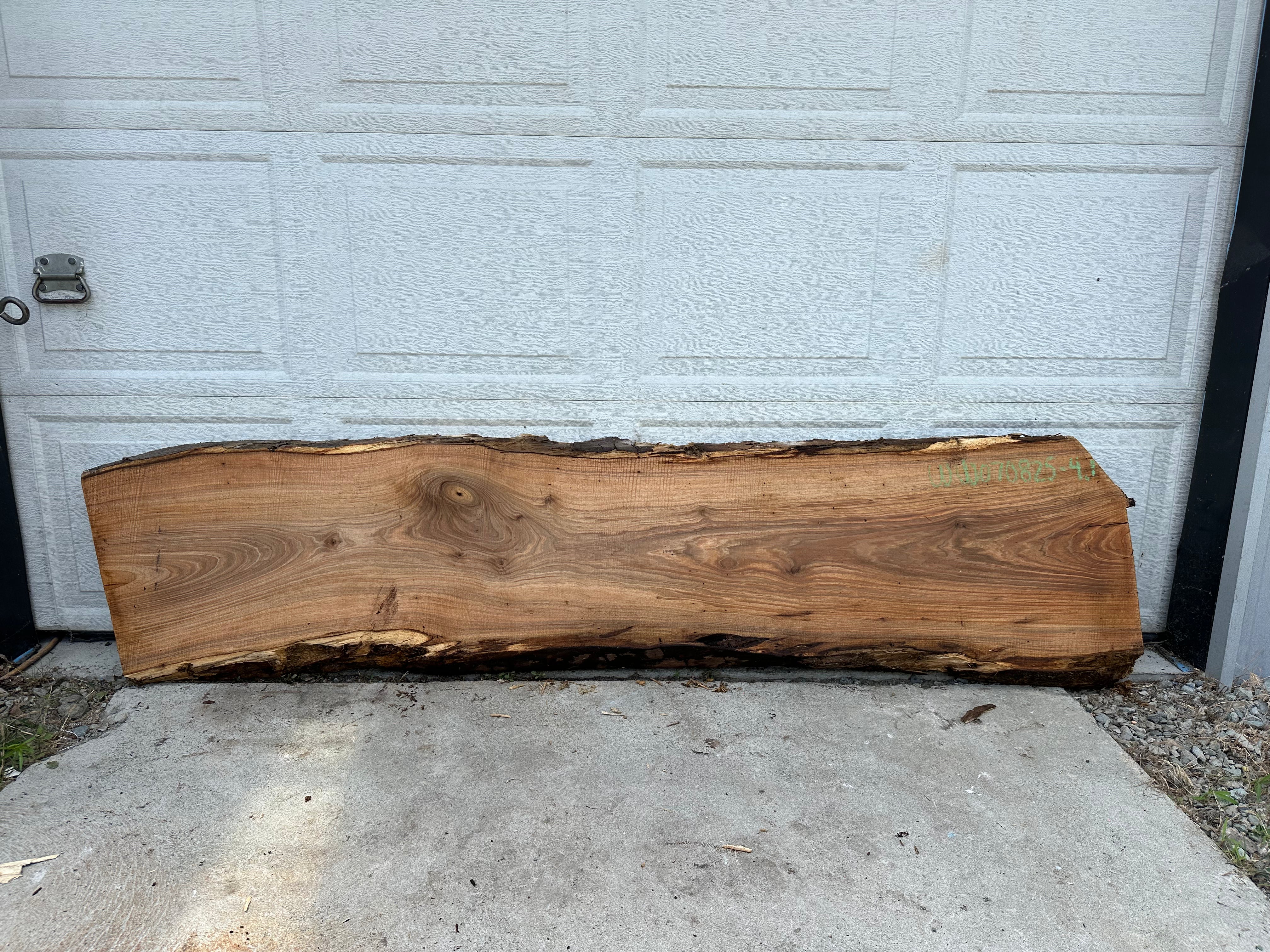 White Walnut - WW070825-4.1