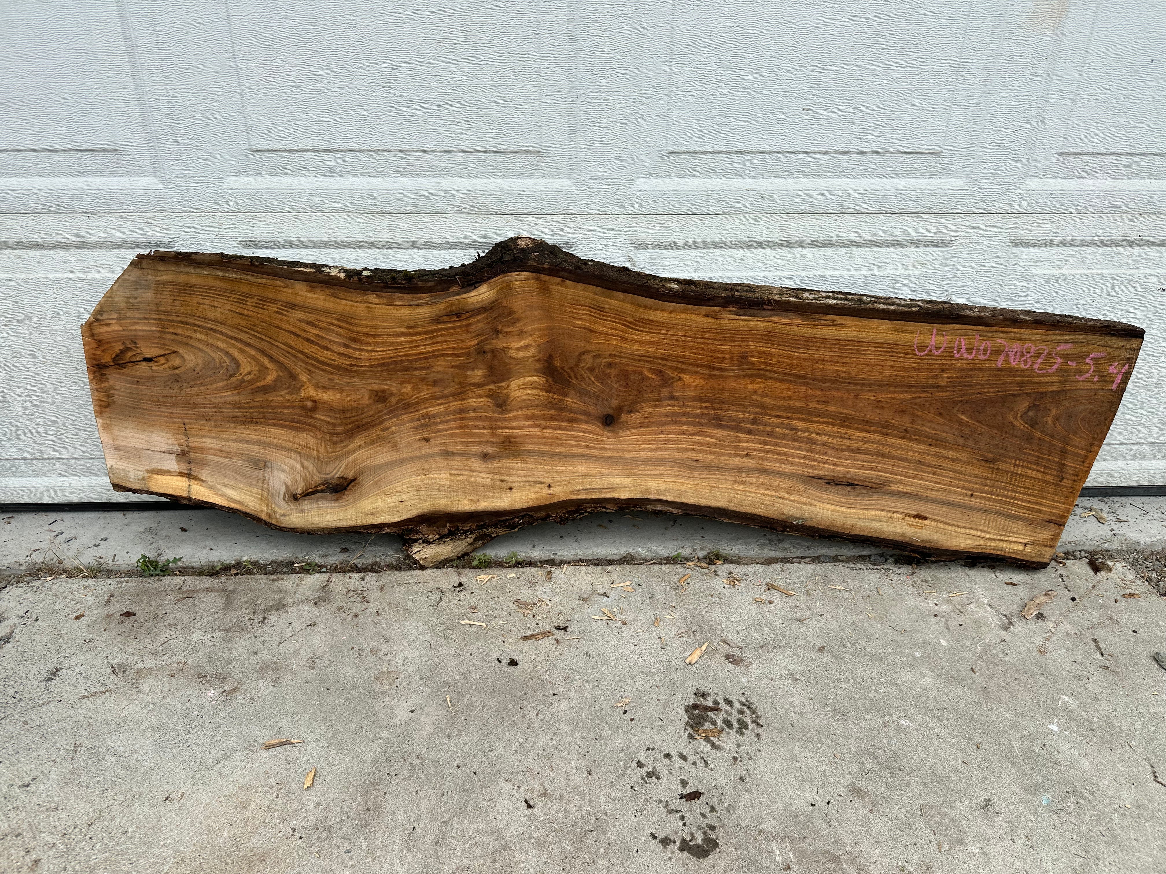 White Walnut - WW070825-5.4