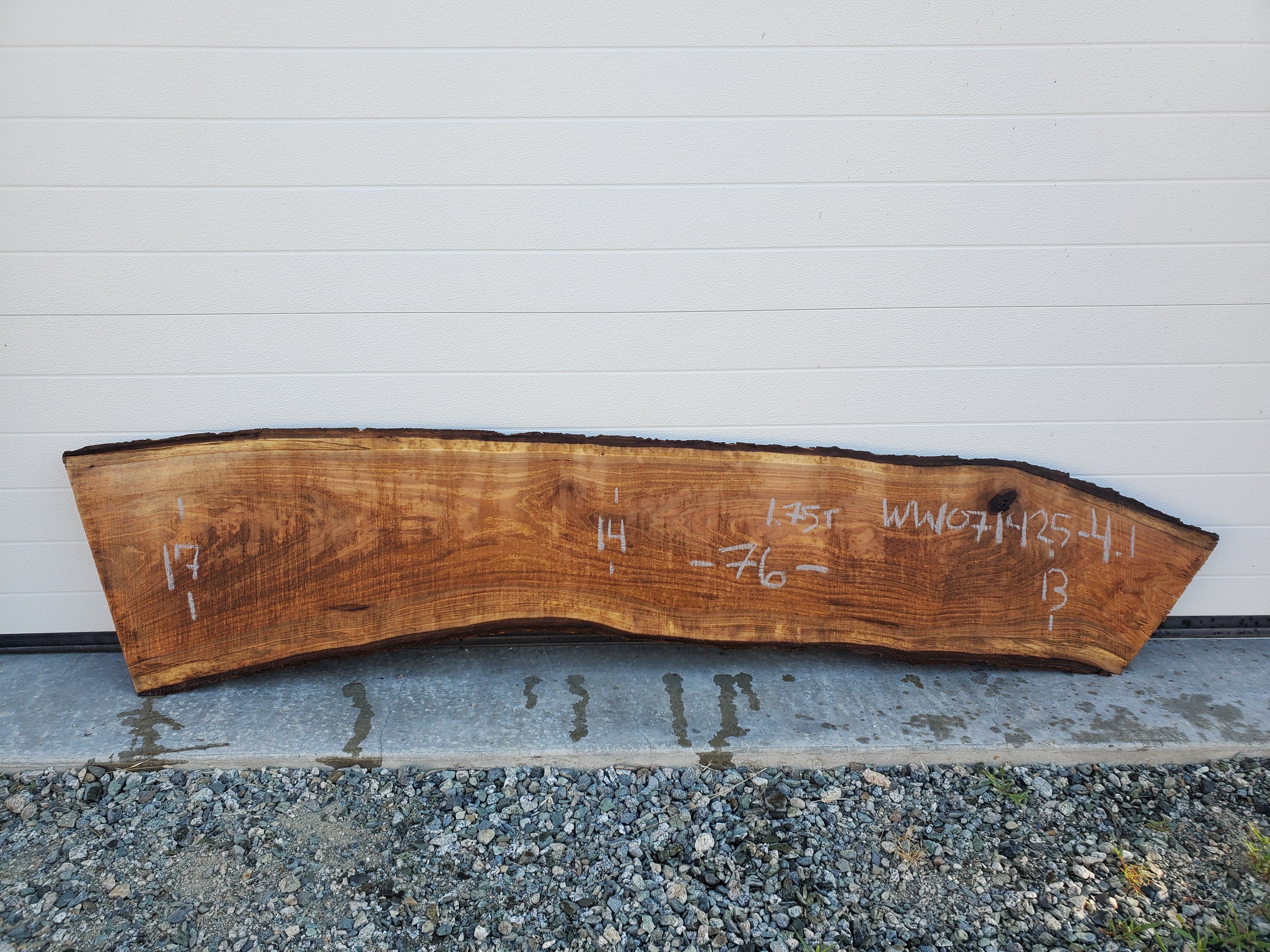 White Walnut - WW071425-4.1