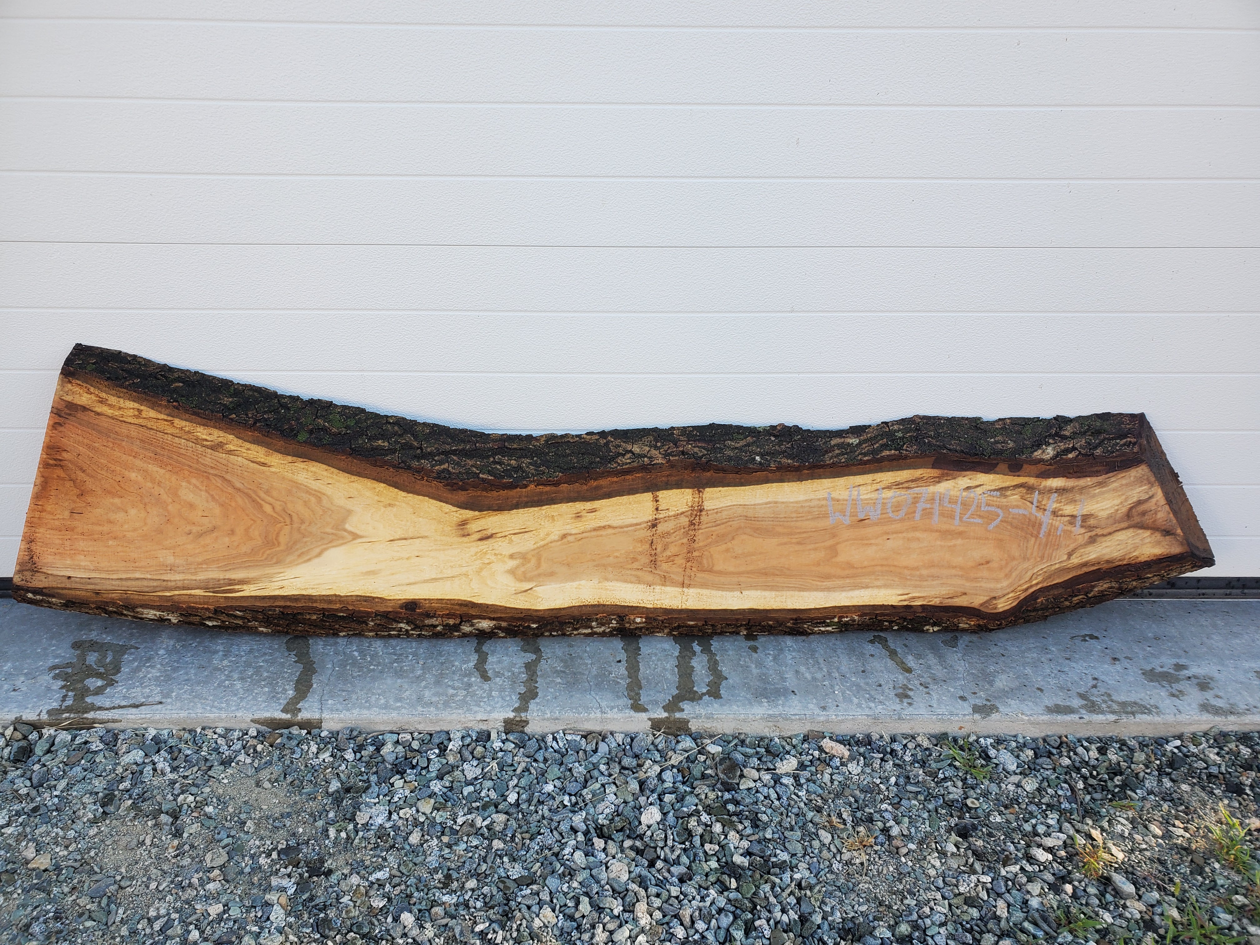 White Walnut - WW071425-4.1