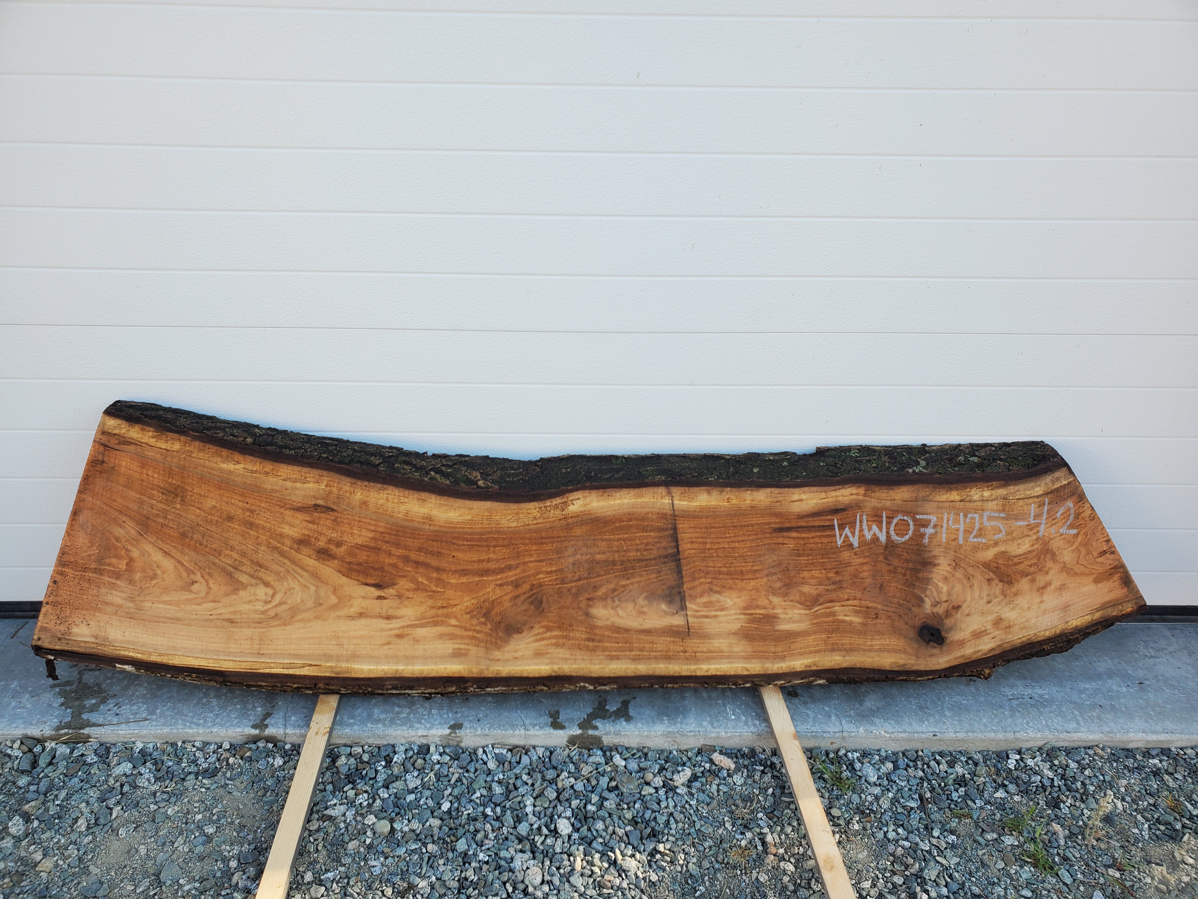 White Walnut - WW071425-4.2