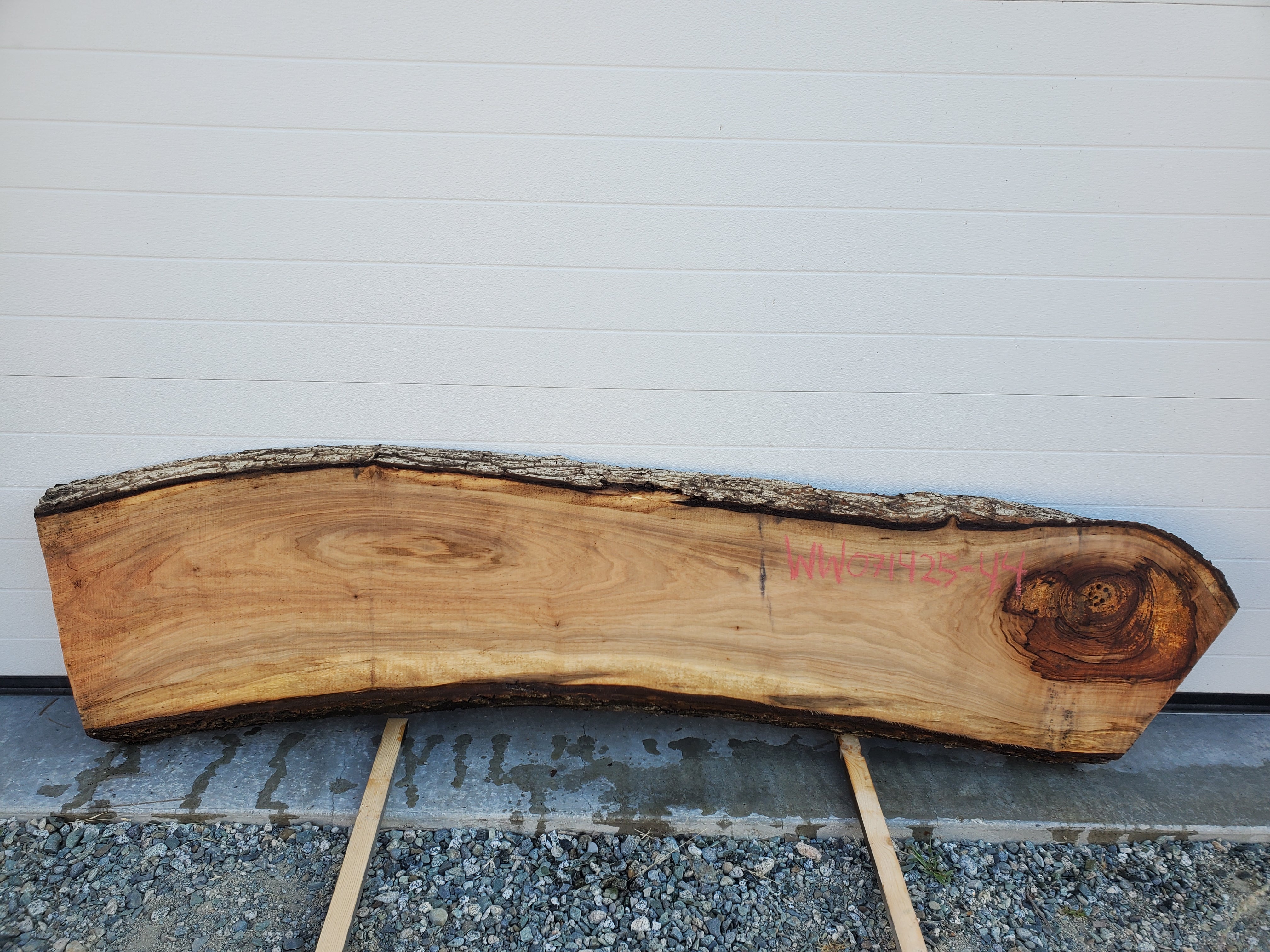 White Walnut - WW071425-4.4