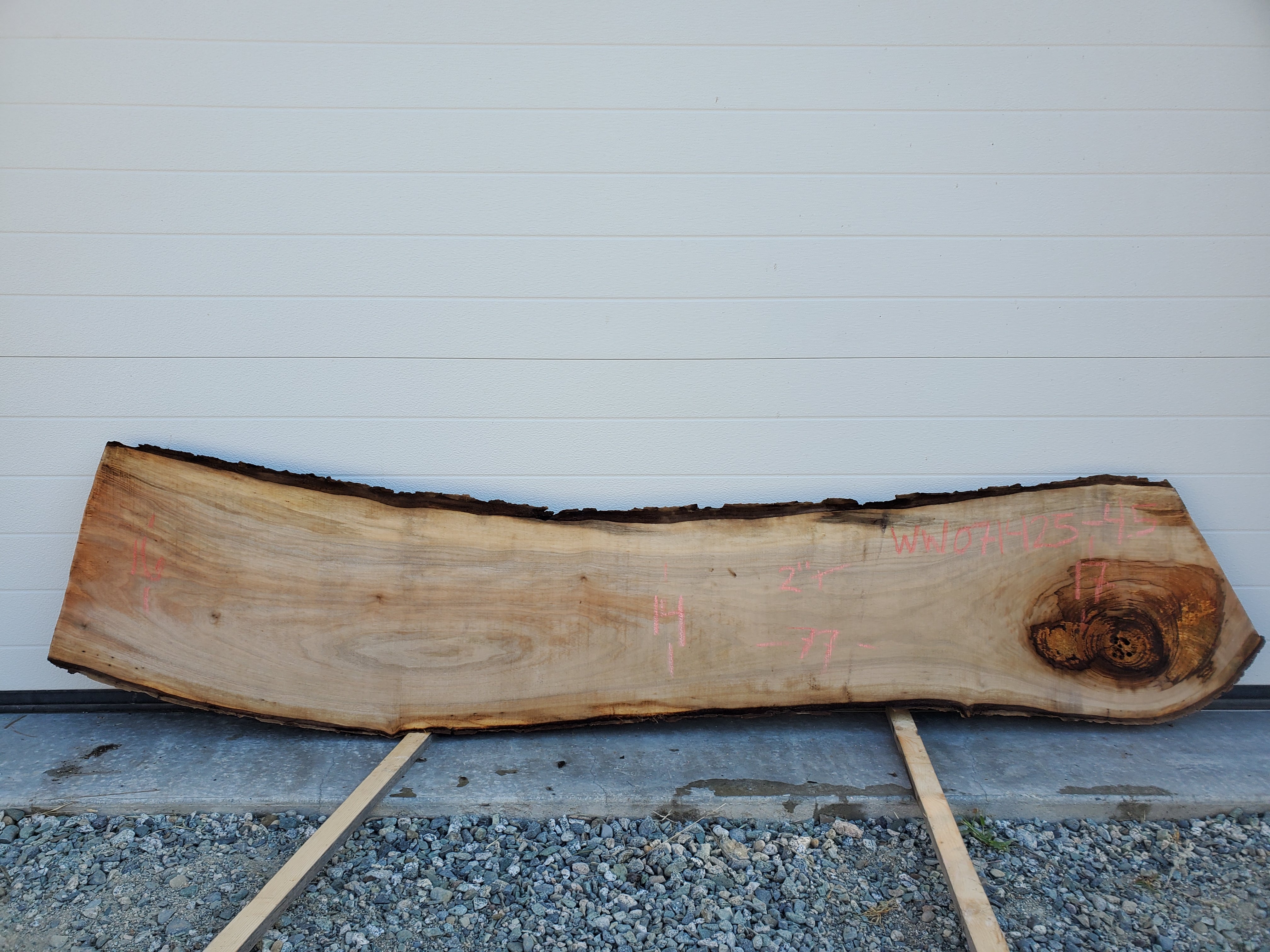 White Walnut - WW071425-4.5