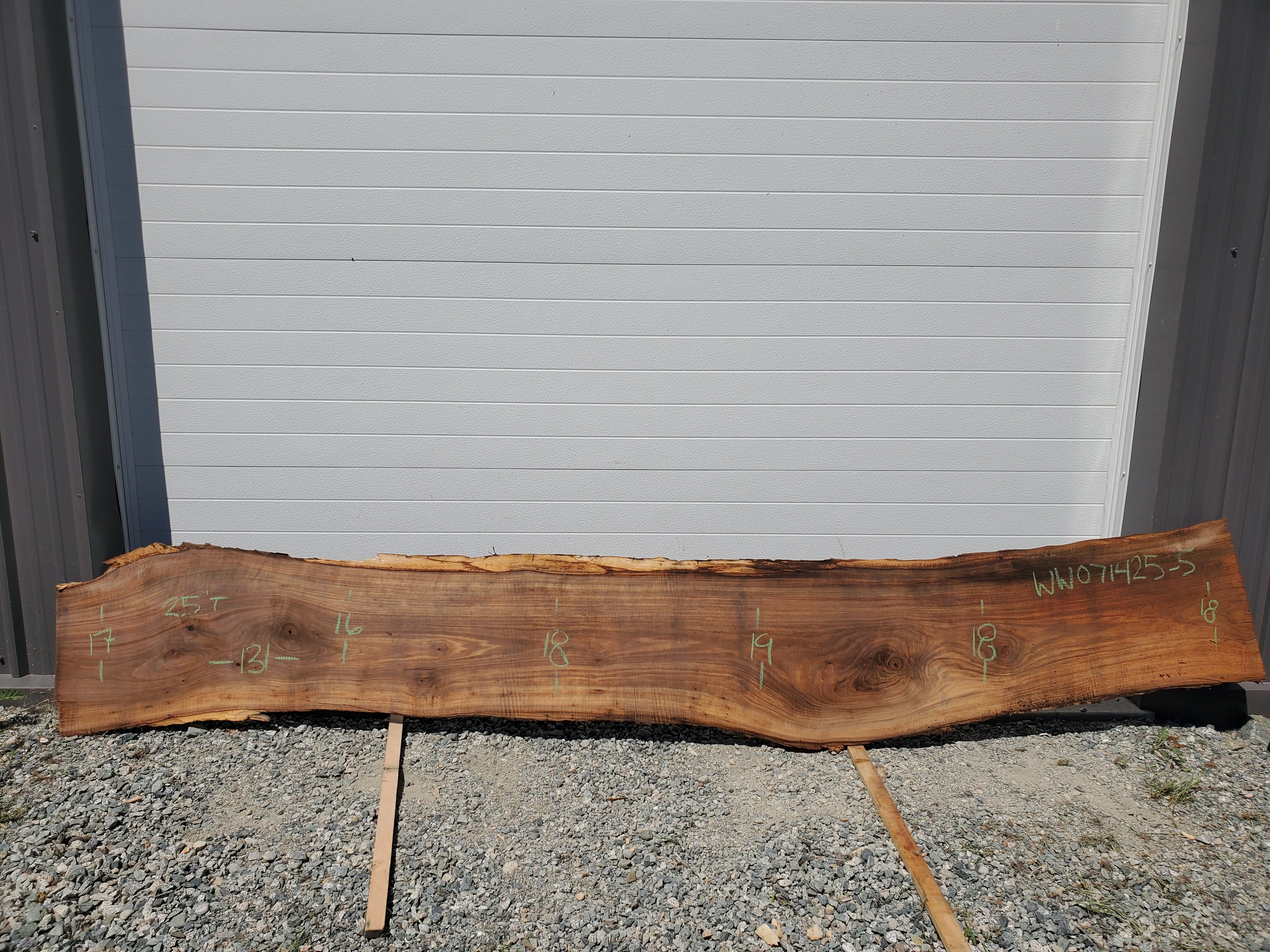 White Walnut - WW071425-5.1