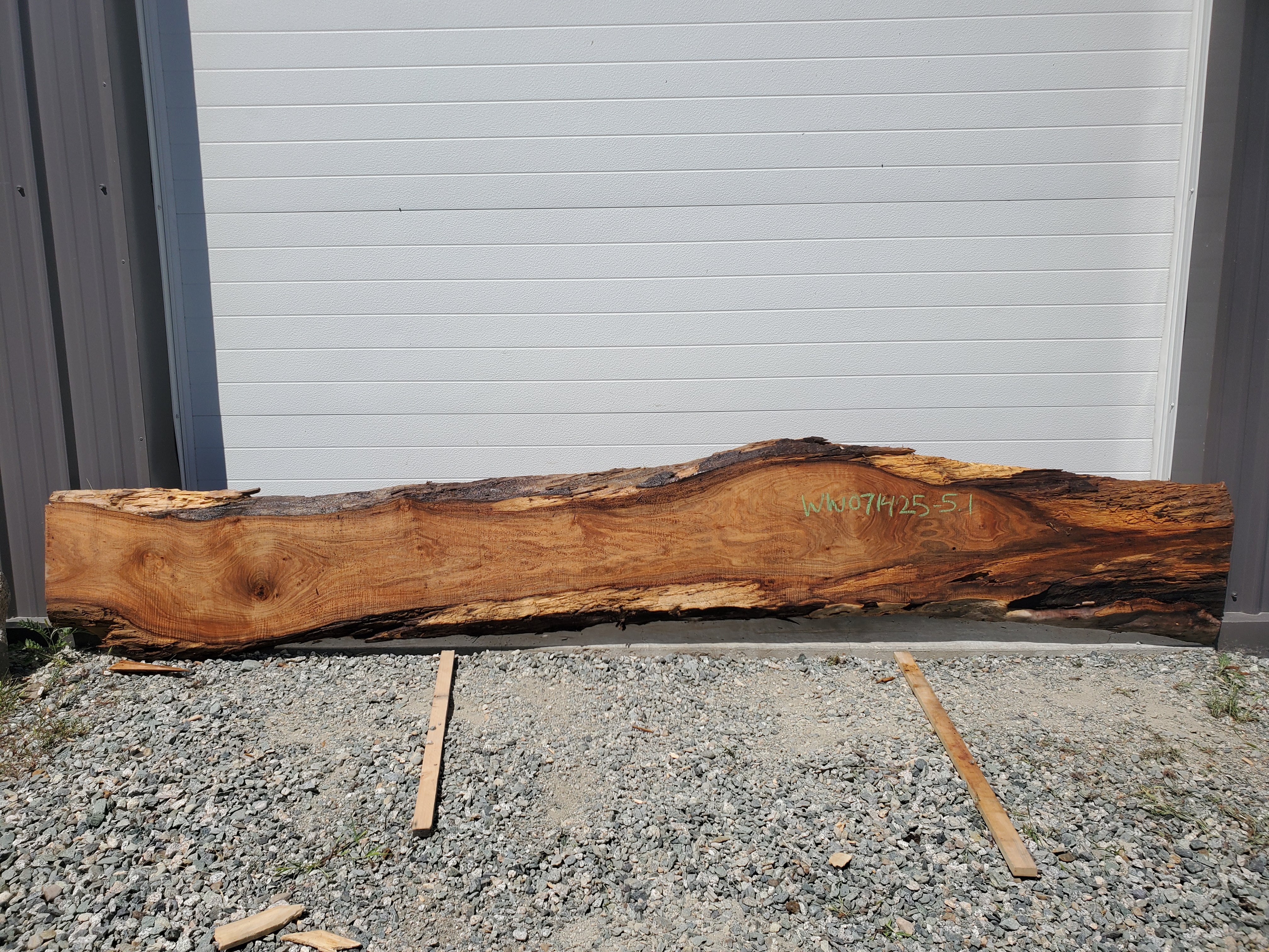 White Walnut - WW071425-5.1