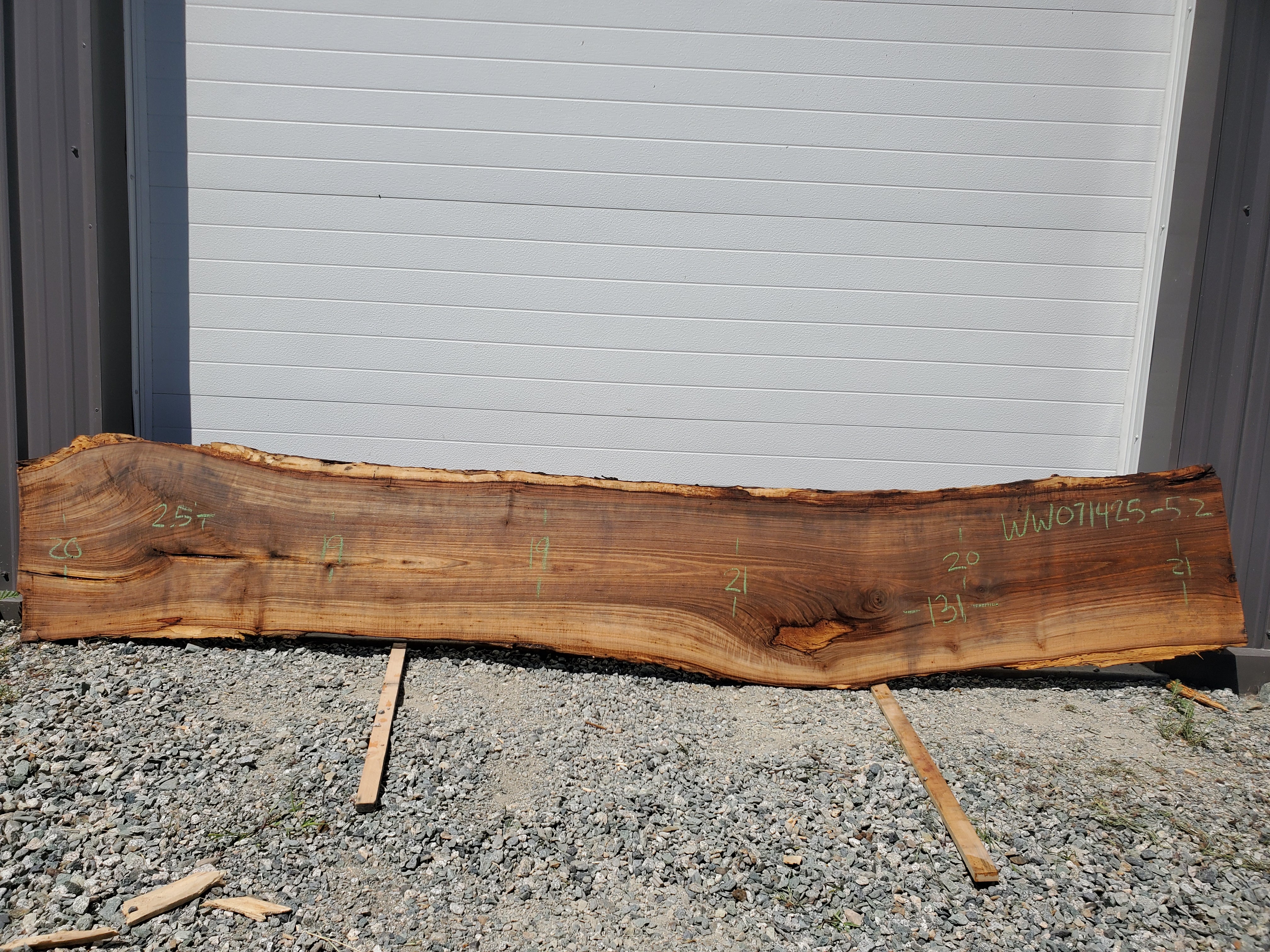 White Walnut - WW071425-5.2