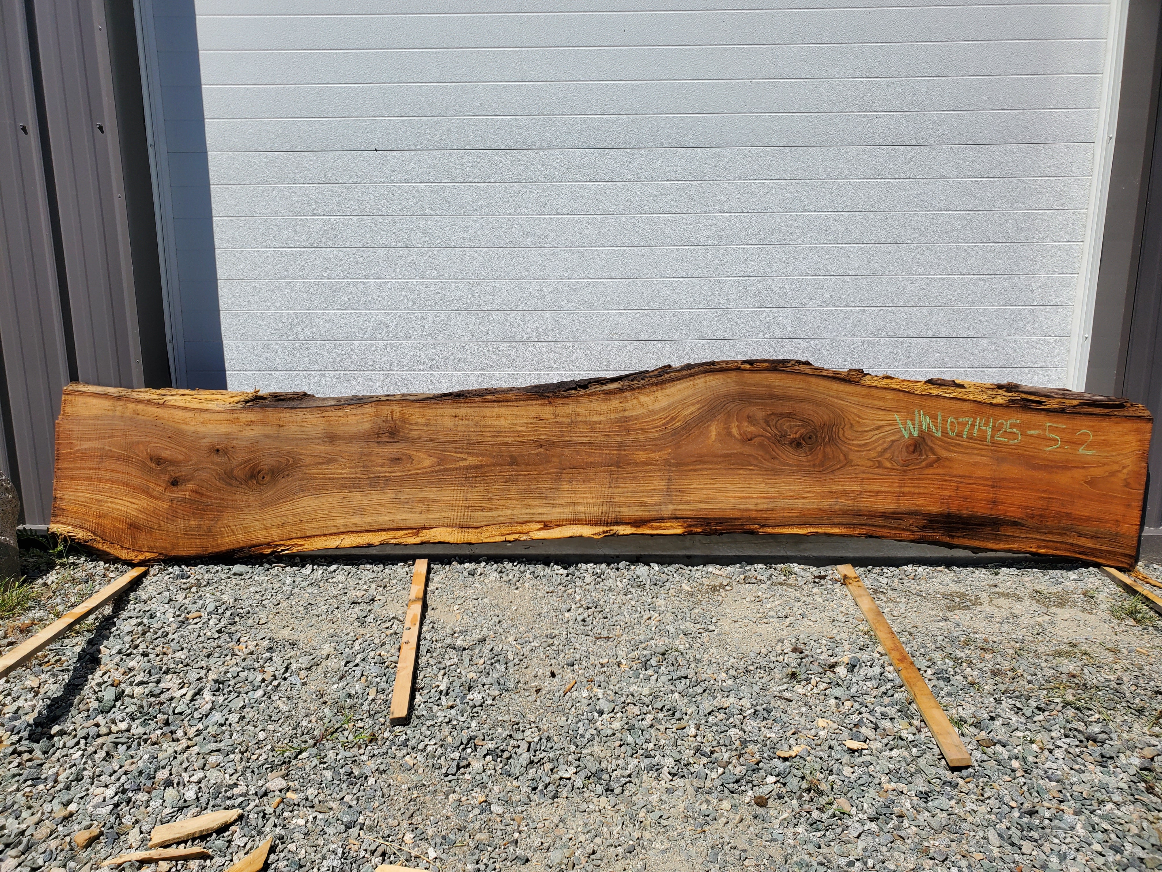 White Walnut - WW071425-5.2