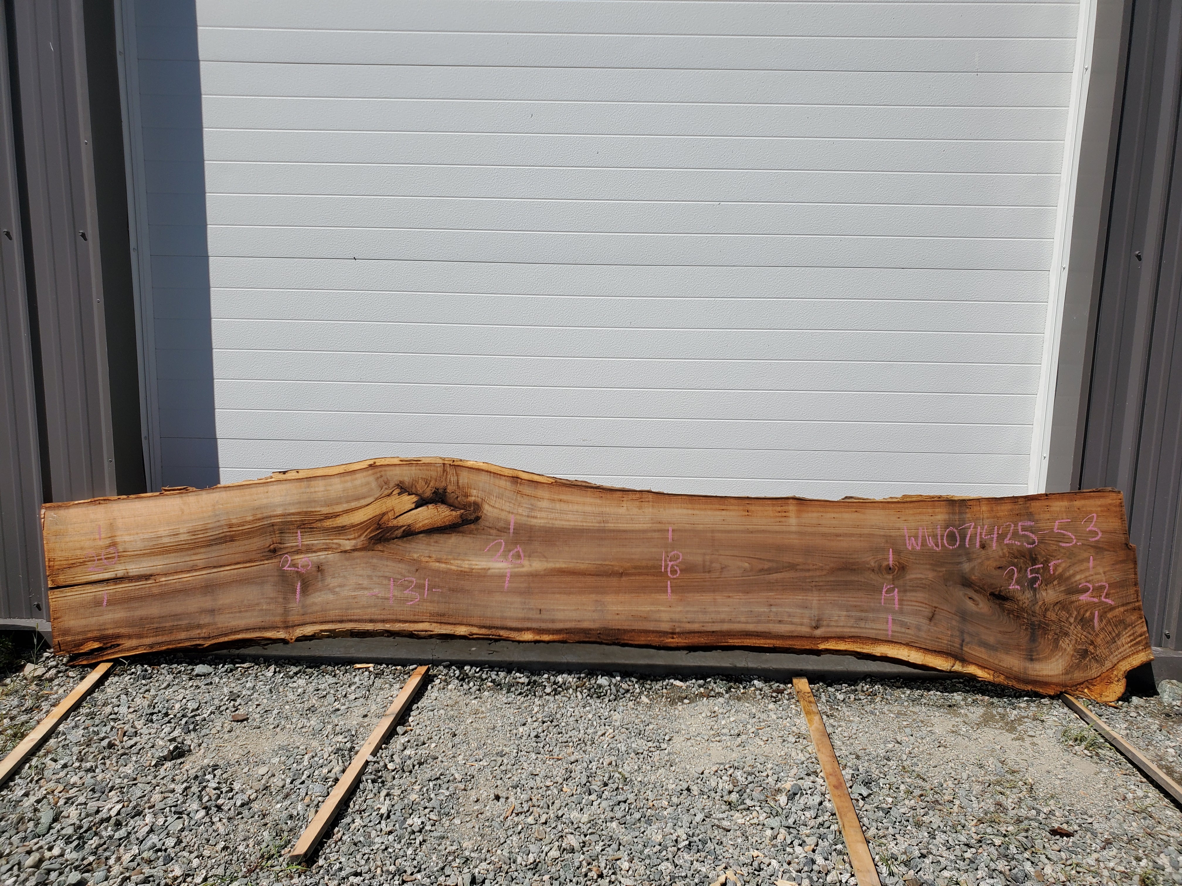 White Walnut - WW071425-5.3