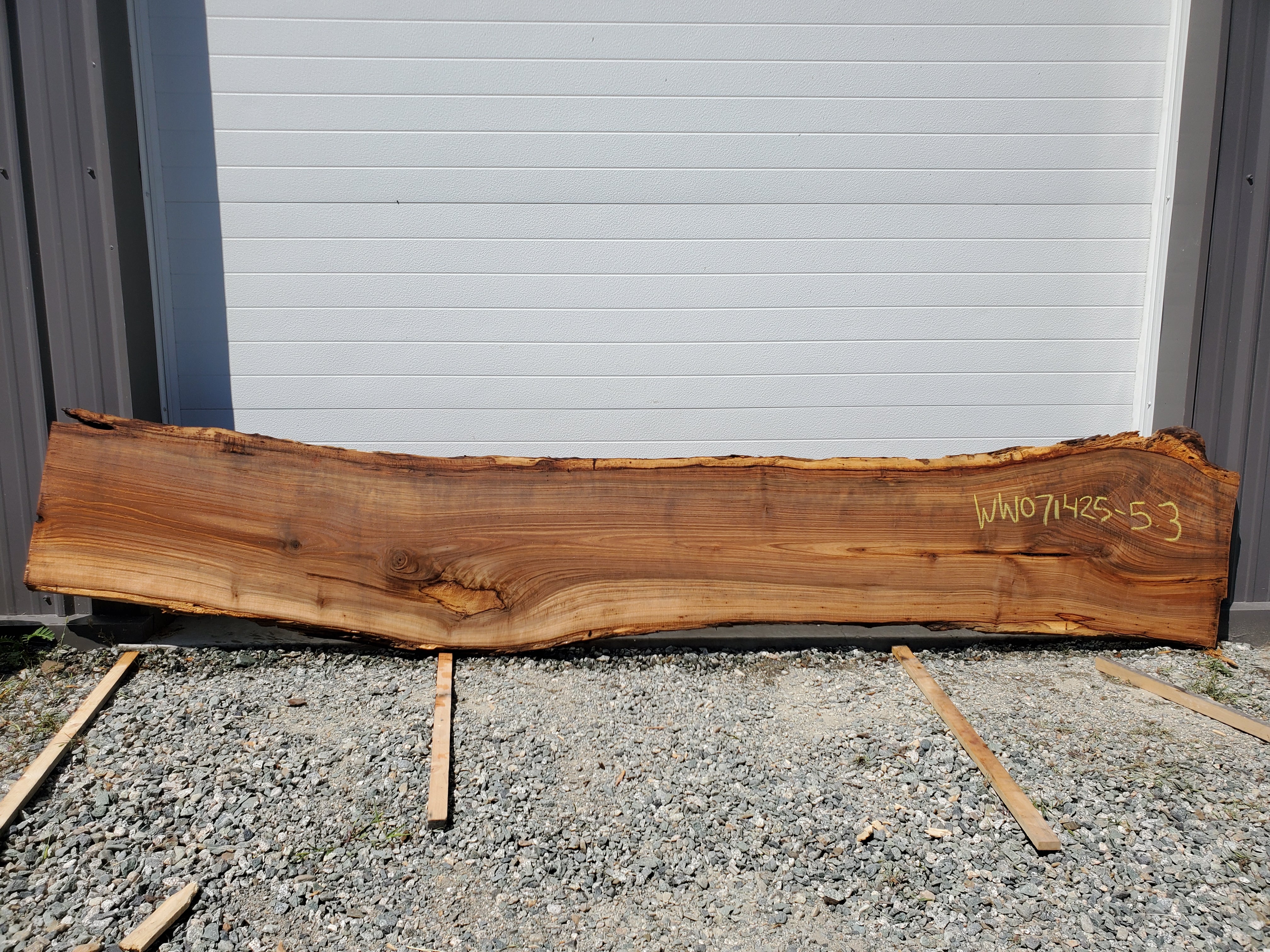 White Walnut - WW071425-5.3