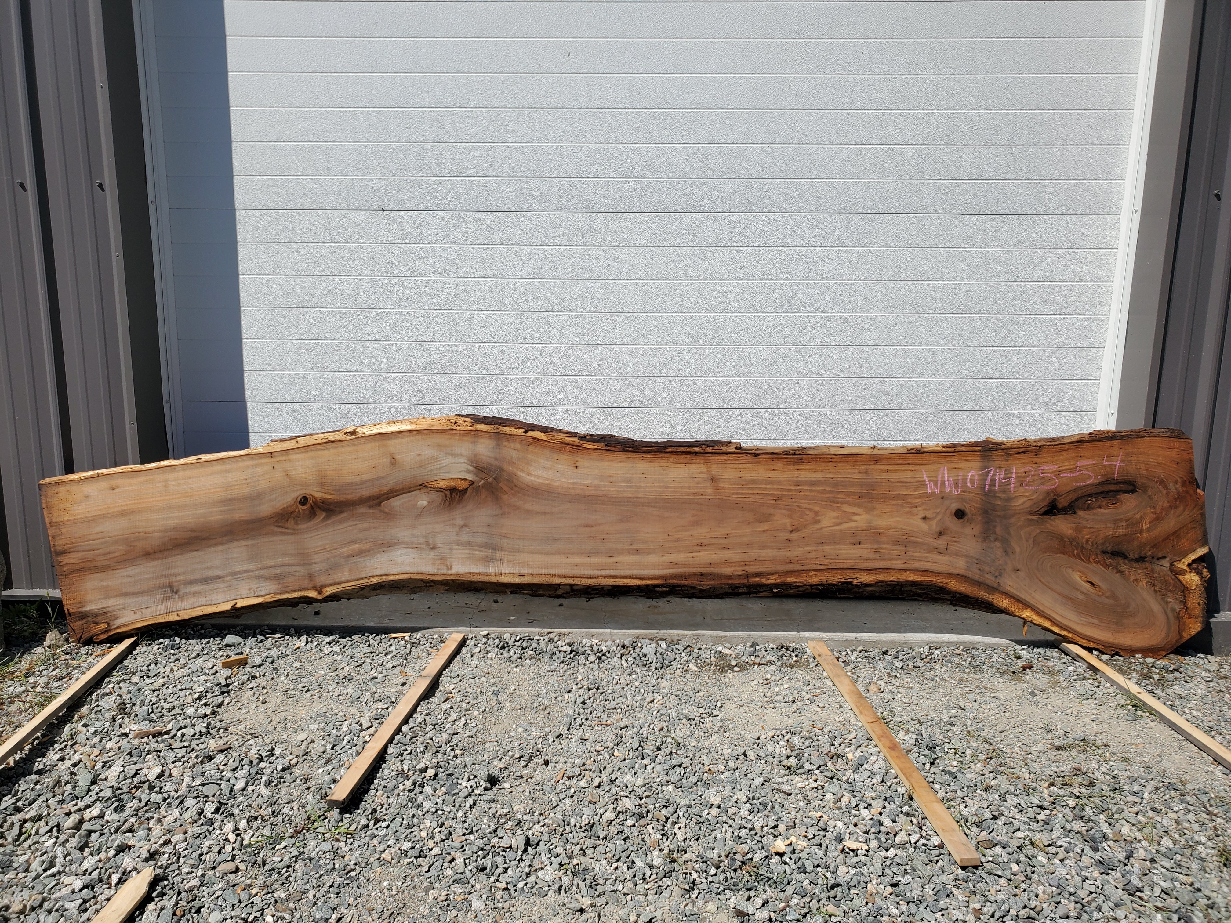 White Walnut - WW071425-5.4