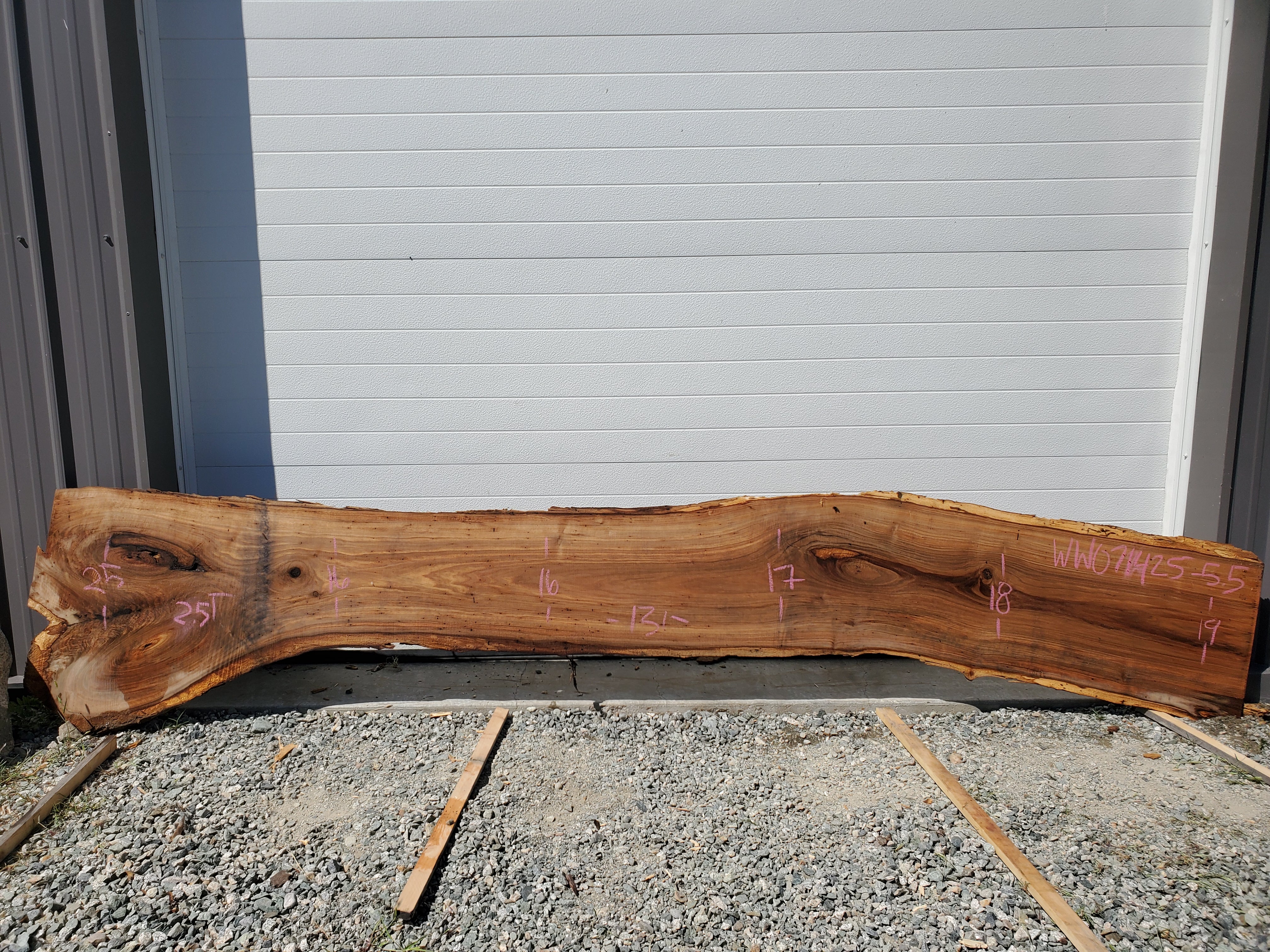 White Walnut - WW071425-5.5