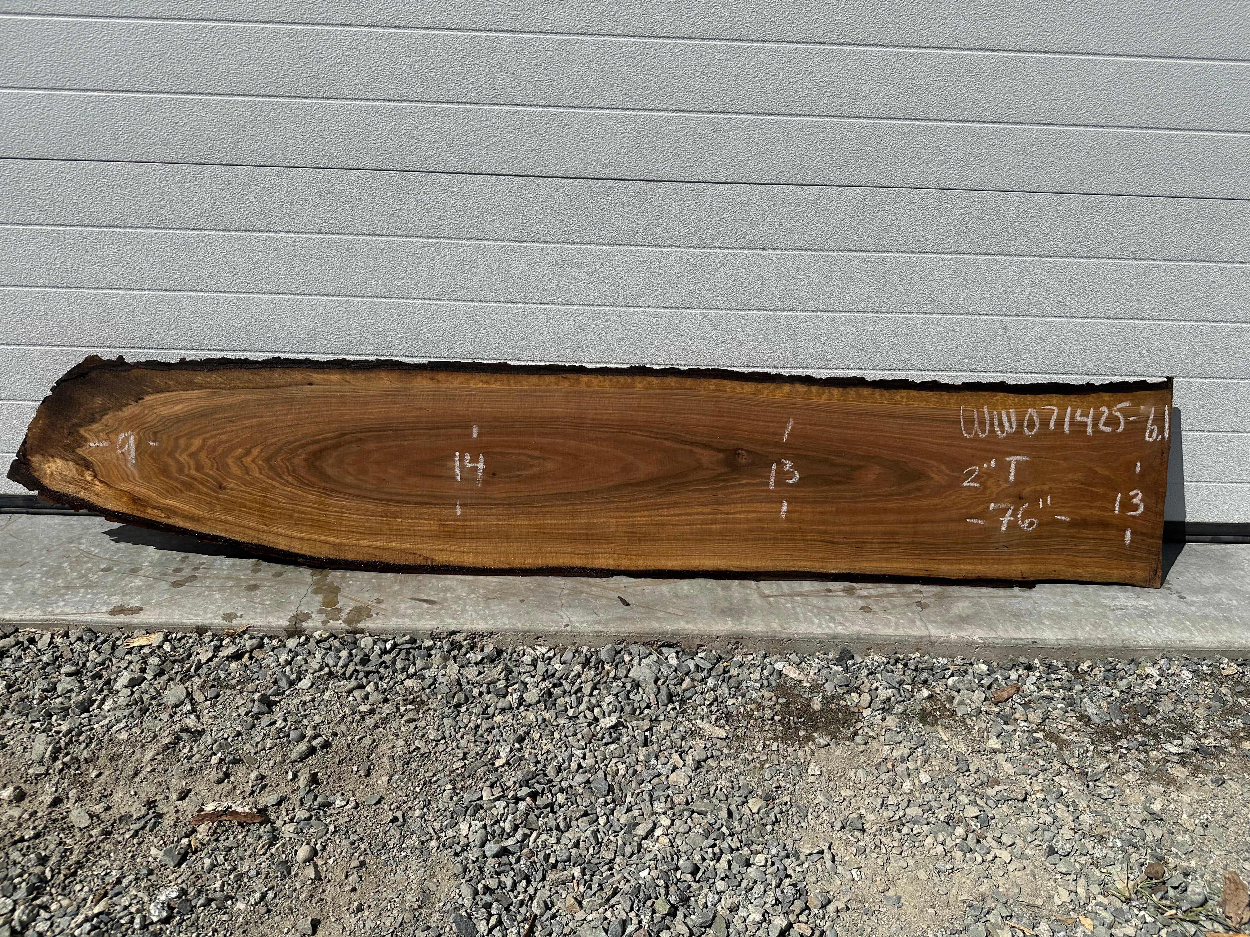 White Walnut - WW071425-6.1