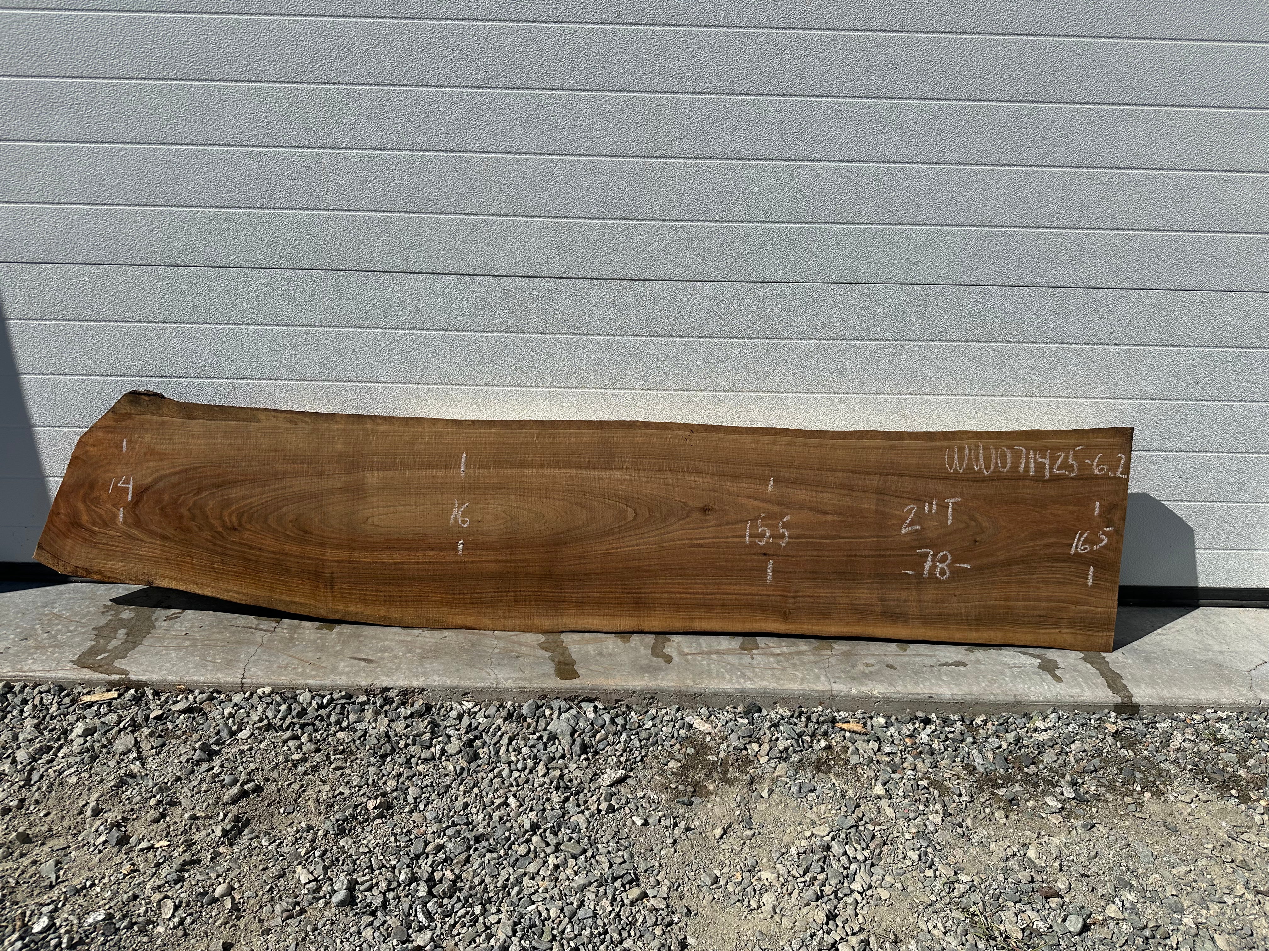 White Walnut - WW071425-6.2