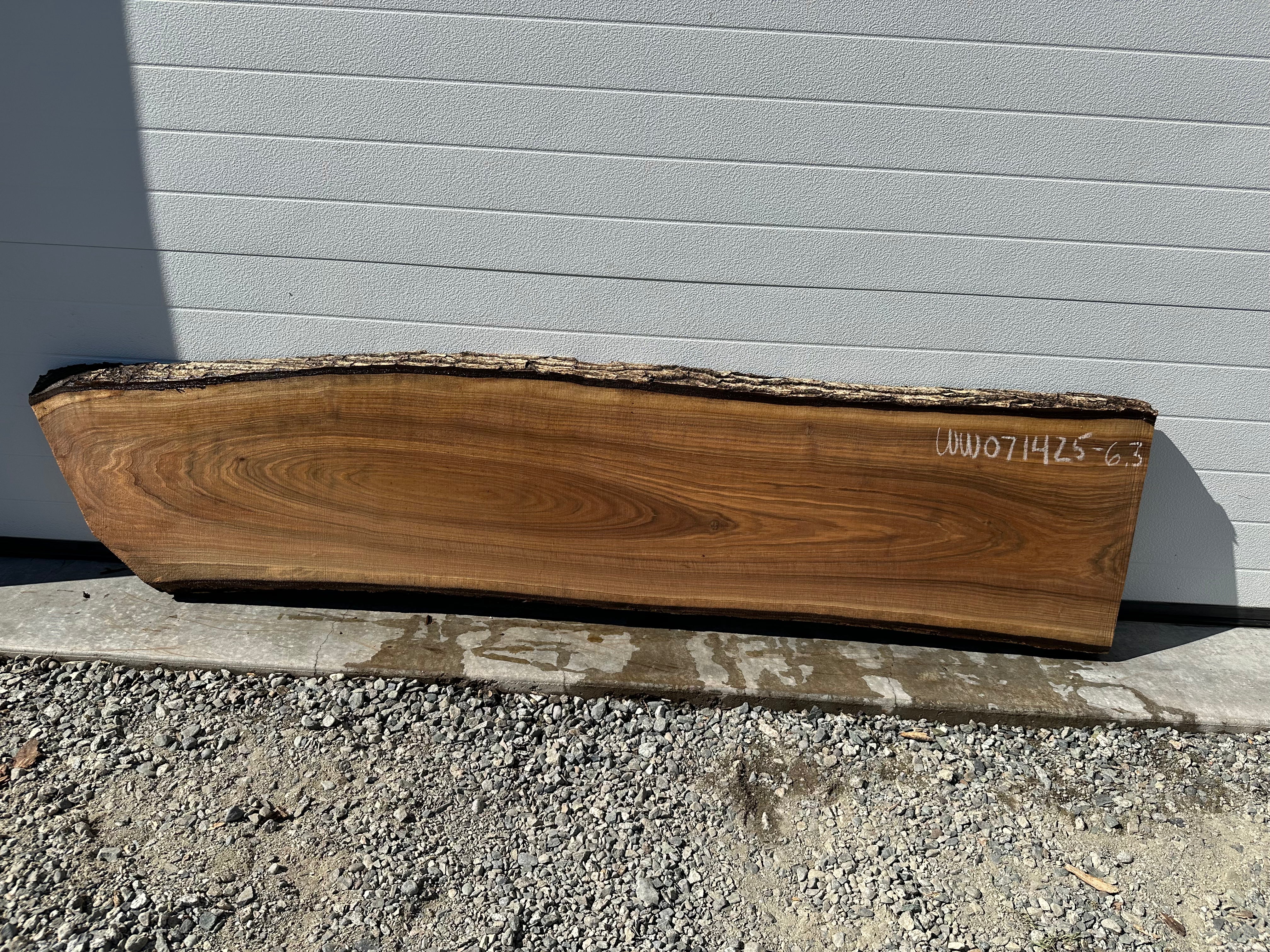 White Walnut - WW071425-6.3