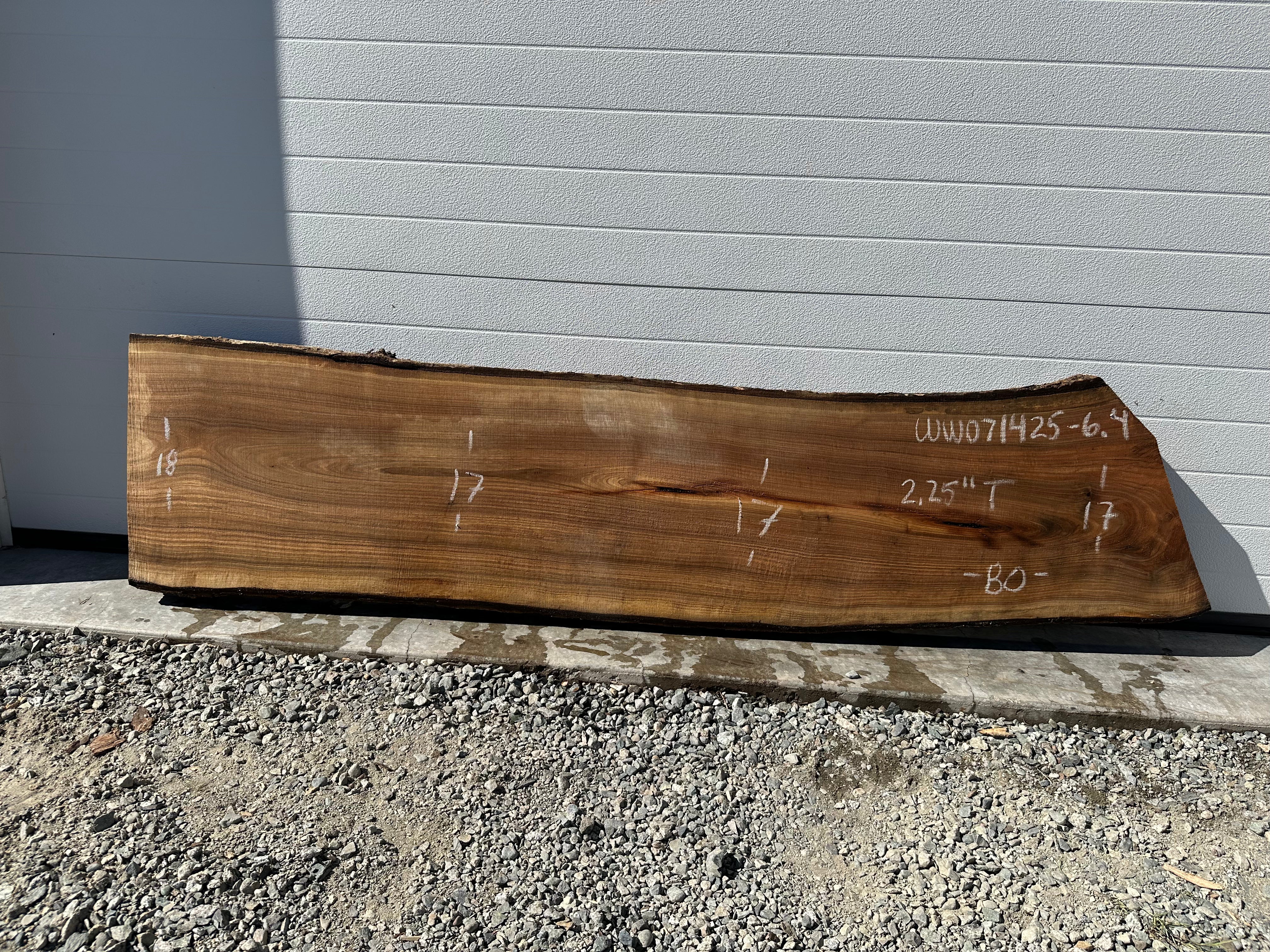 White Walnut - WW071425-6.4