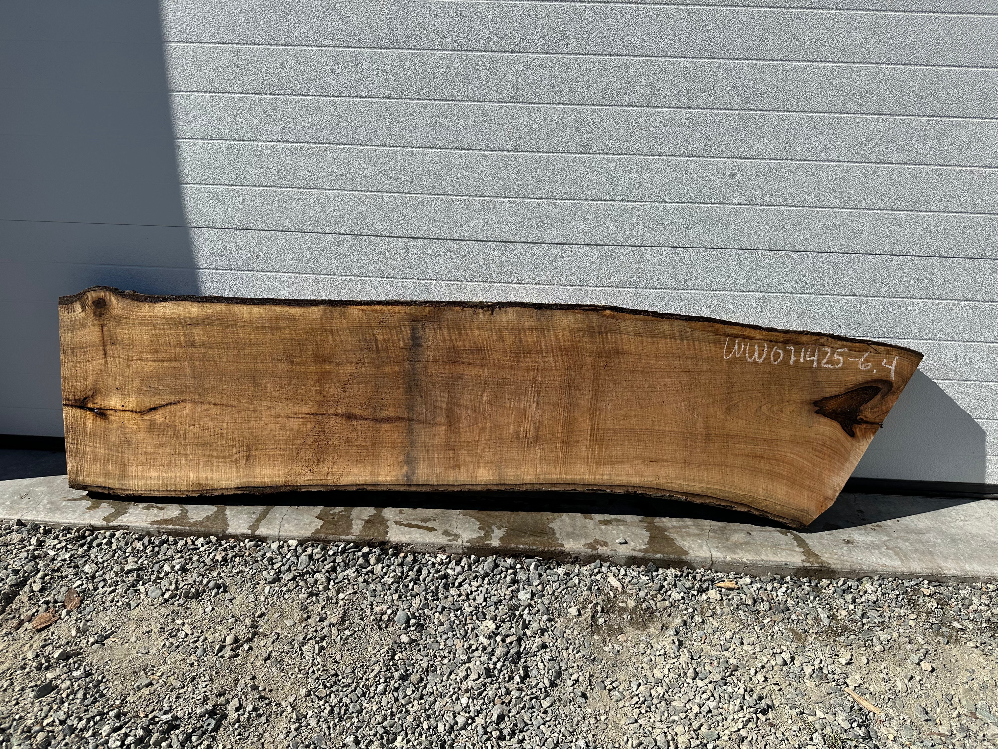White Walnut - WW071425-6.4