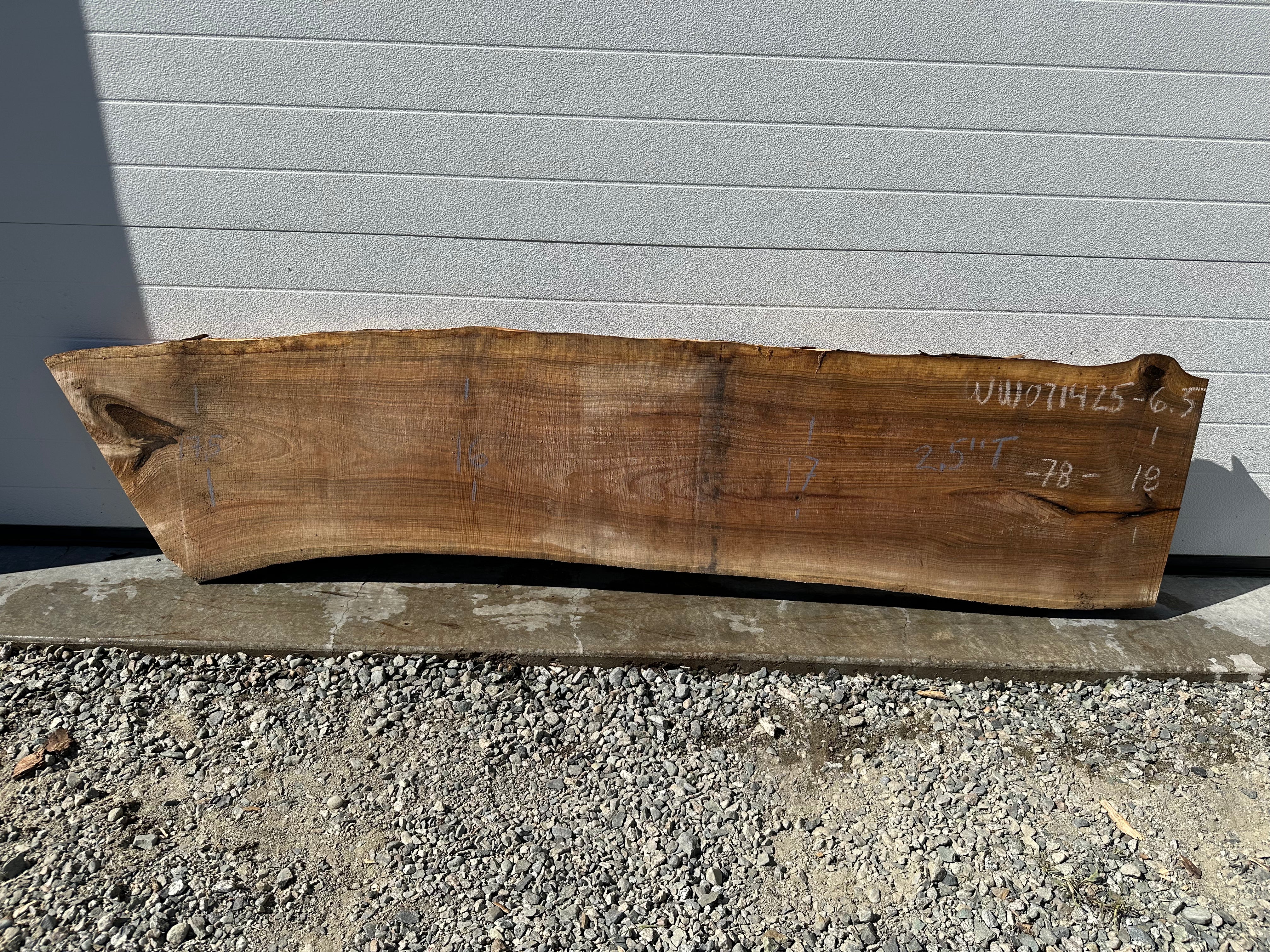 White Walnut - WW071425-6.5