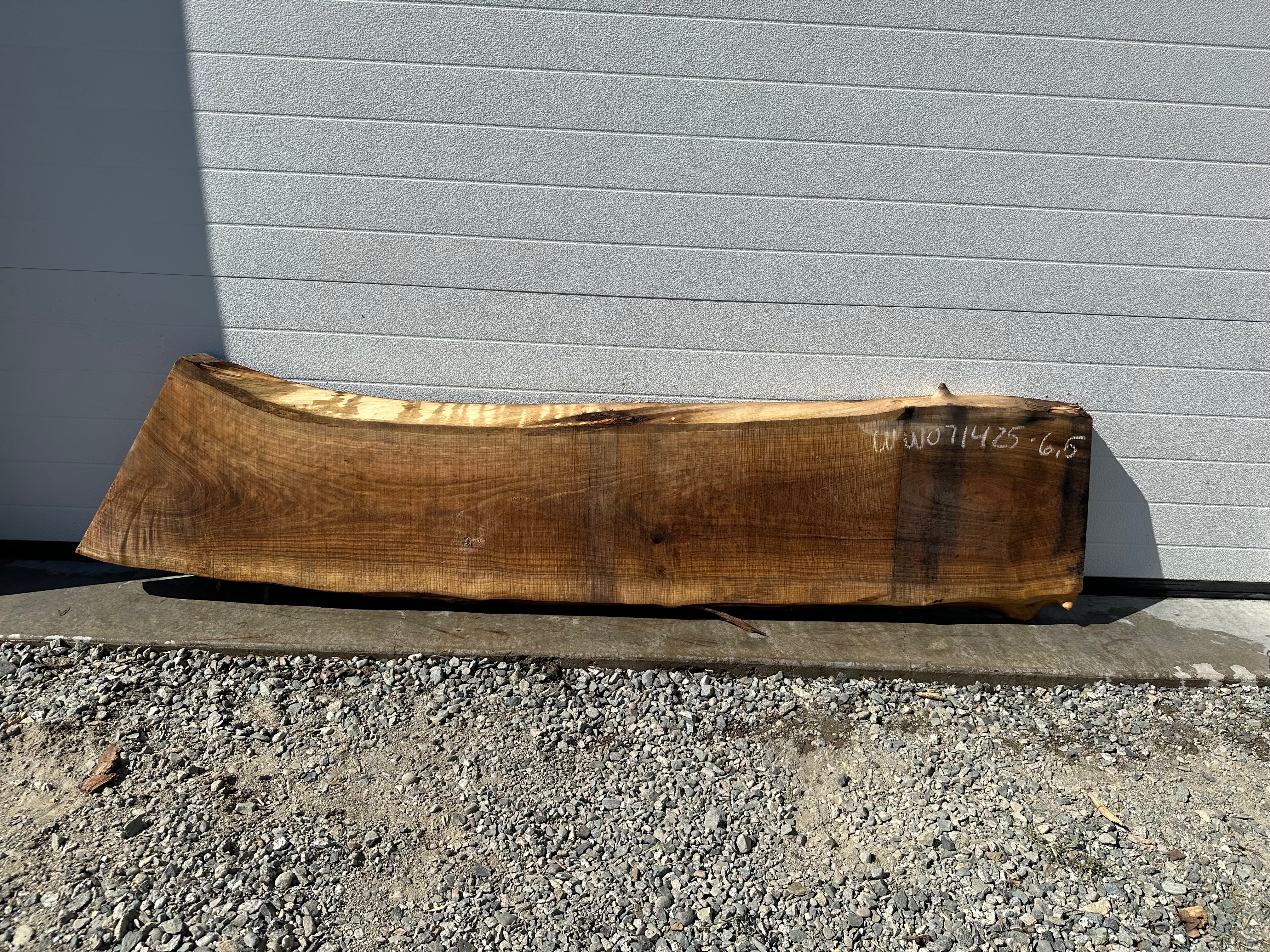 White Walnut - WW071425-6.5