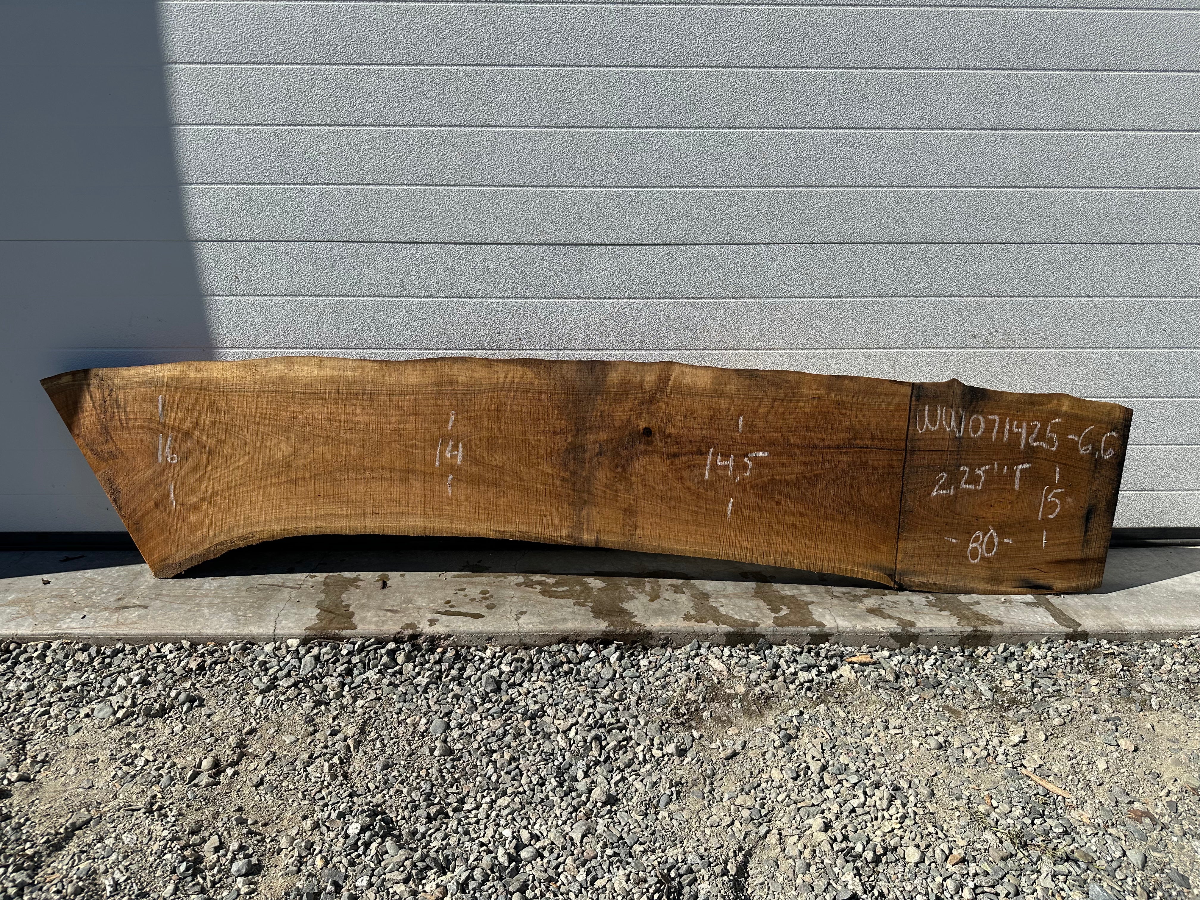 White Walnut - WW071425-6.6