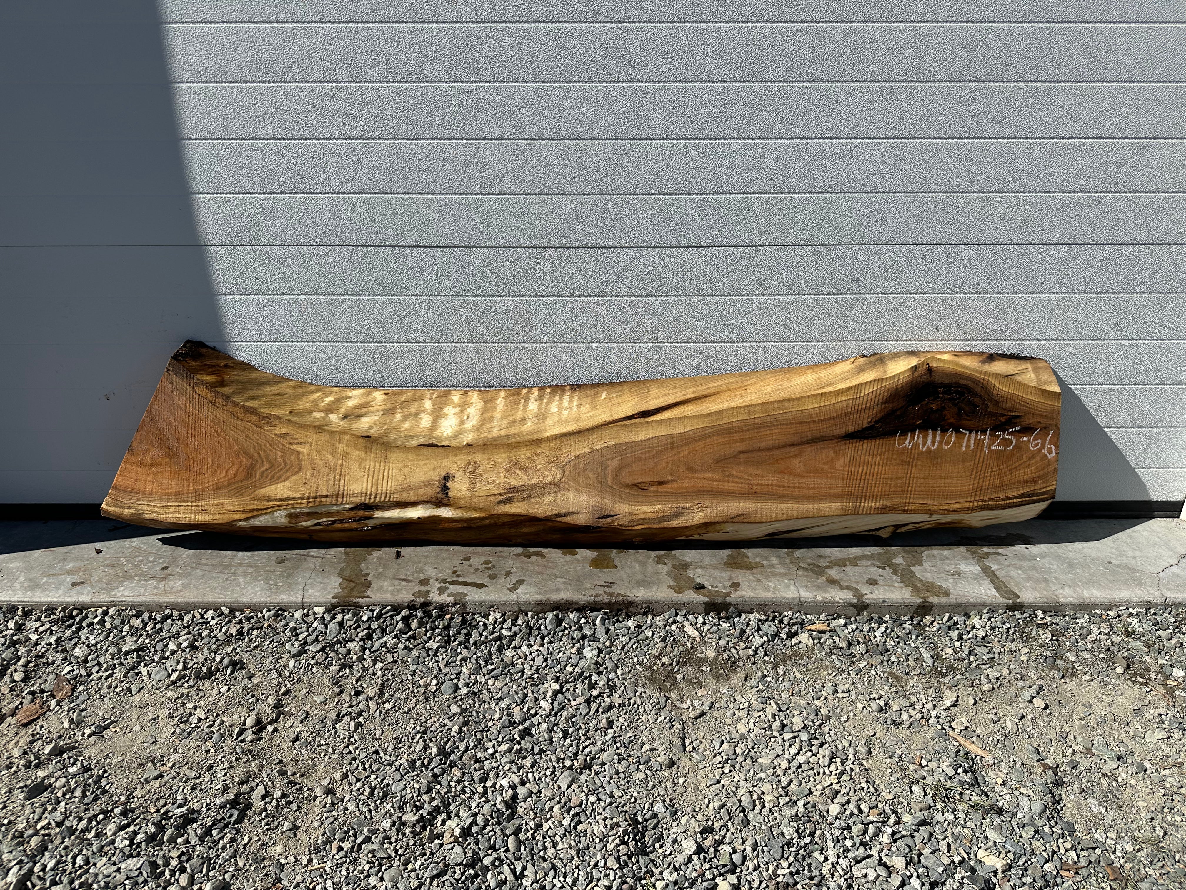 White Walnut - WW071425-6.6