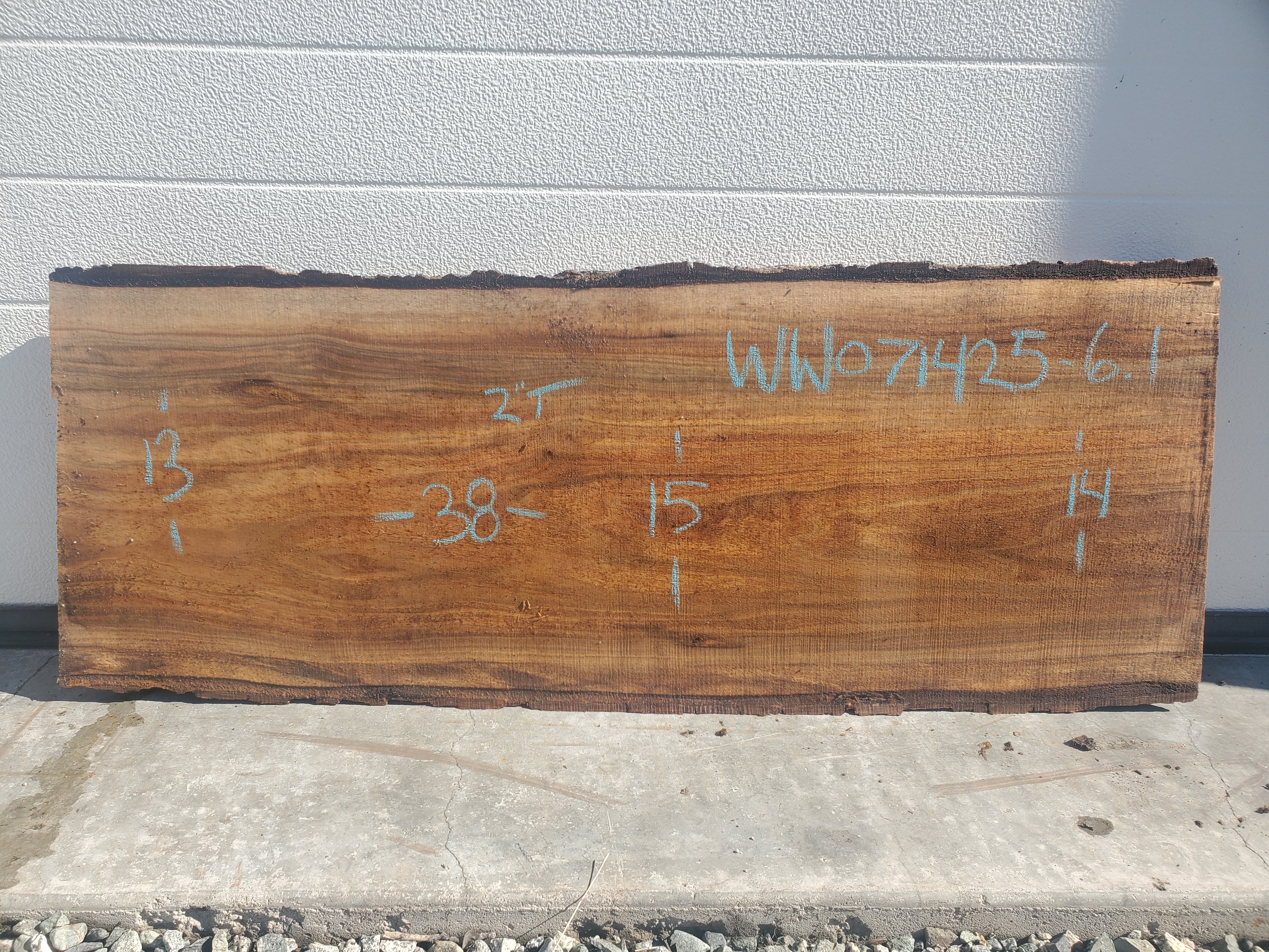 White Walnut - WW071425-7.1*
