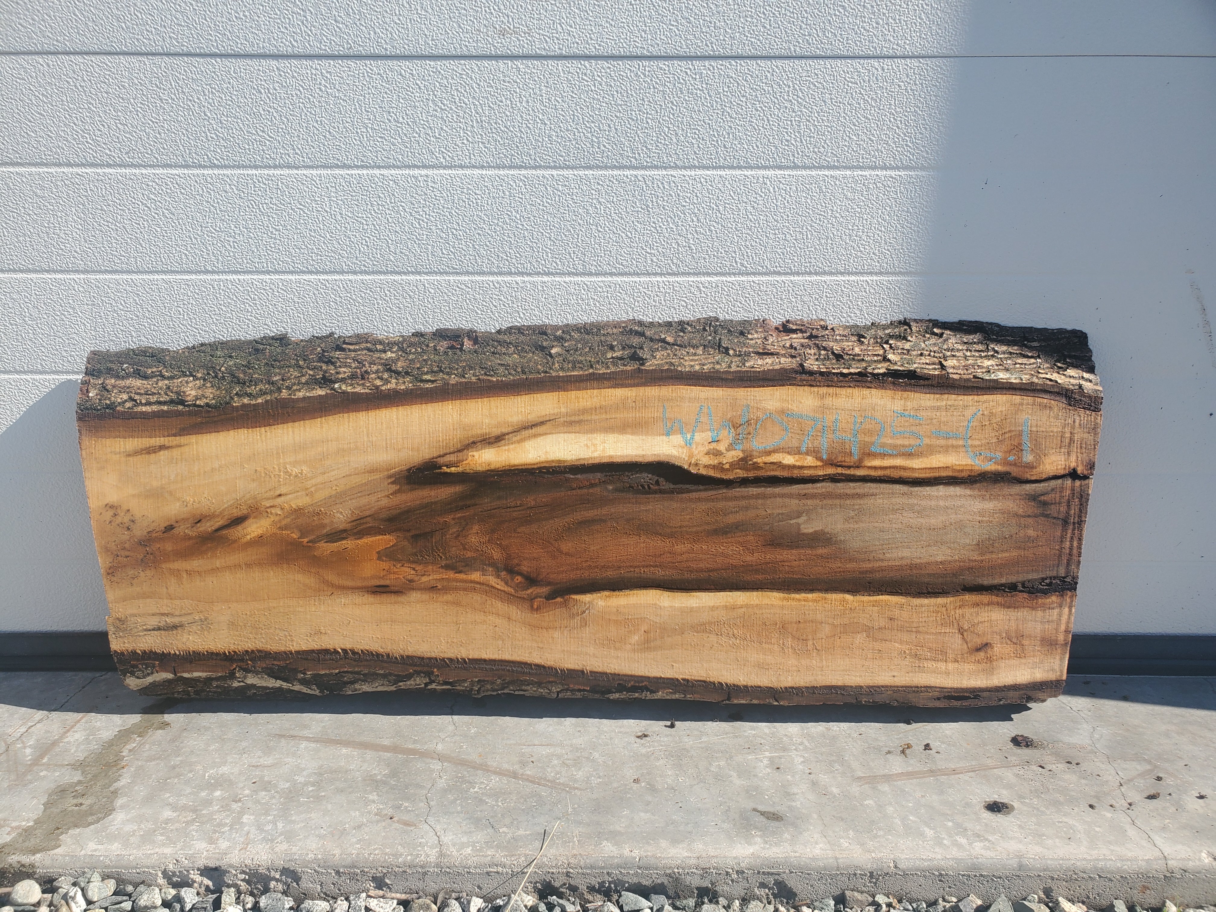 White Walnut - WW071425-7.1*