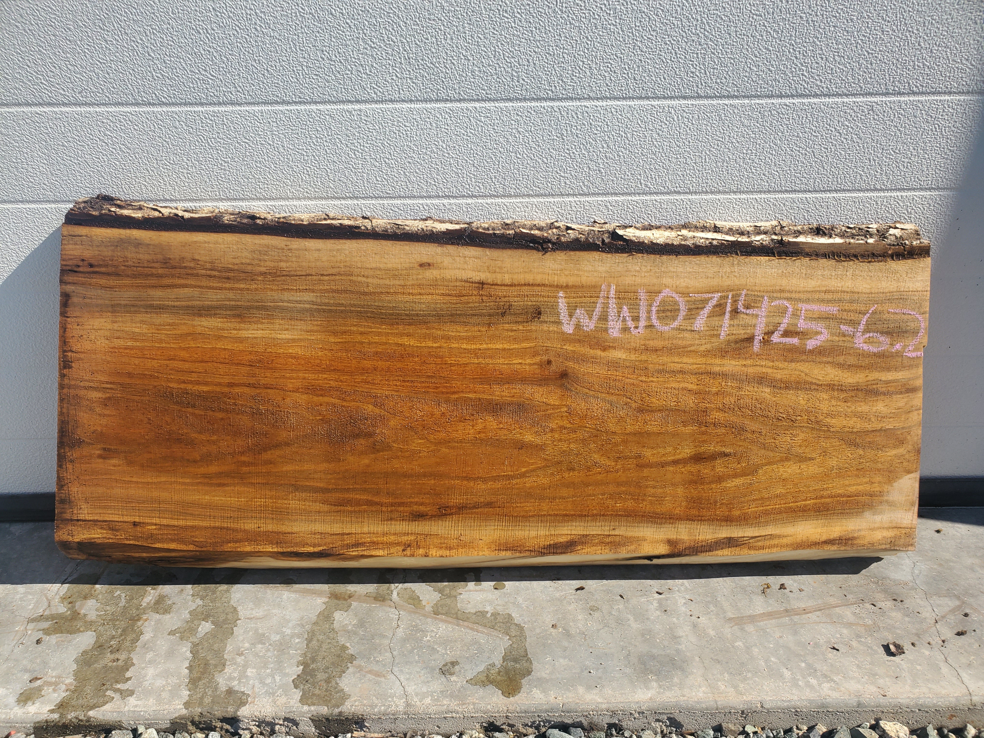 White Walnut - WW071425-7.2*