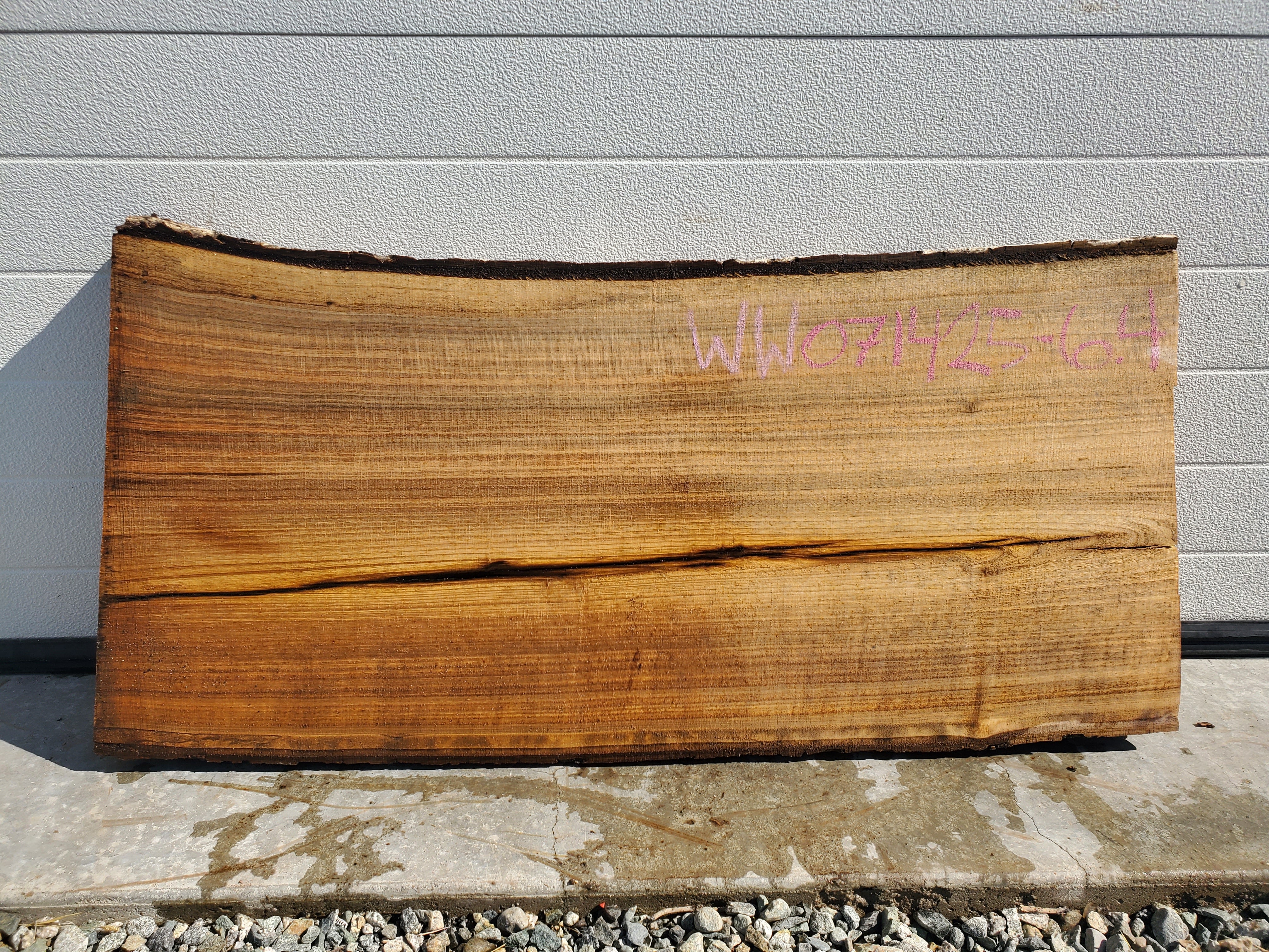 White Walnut - WW071425-7.4*