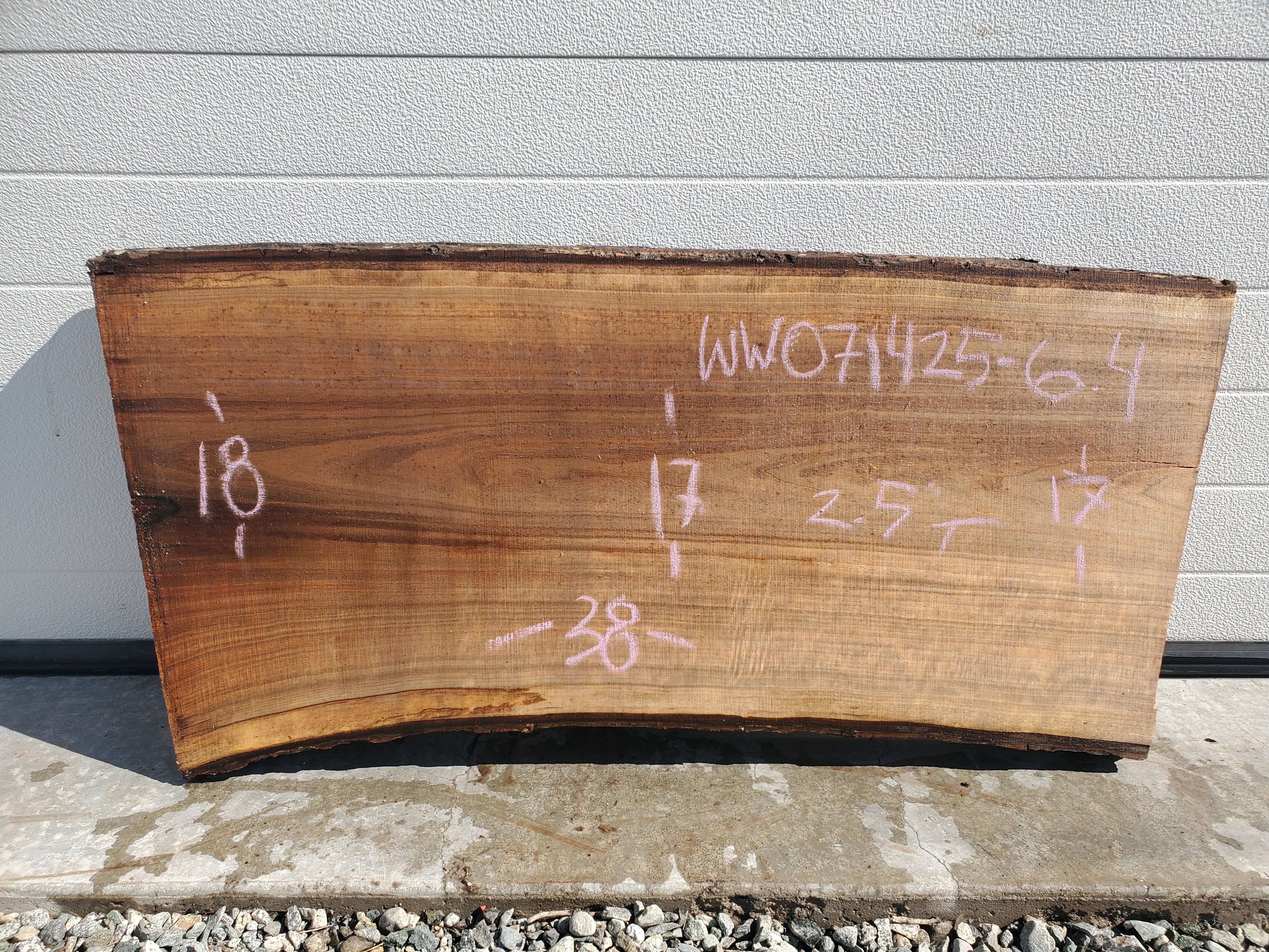 White Walnut - WW071425-7.4*