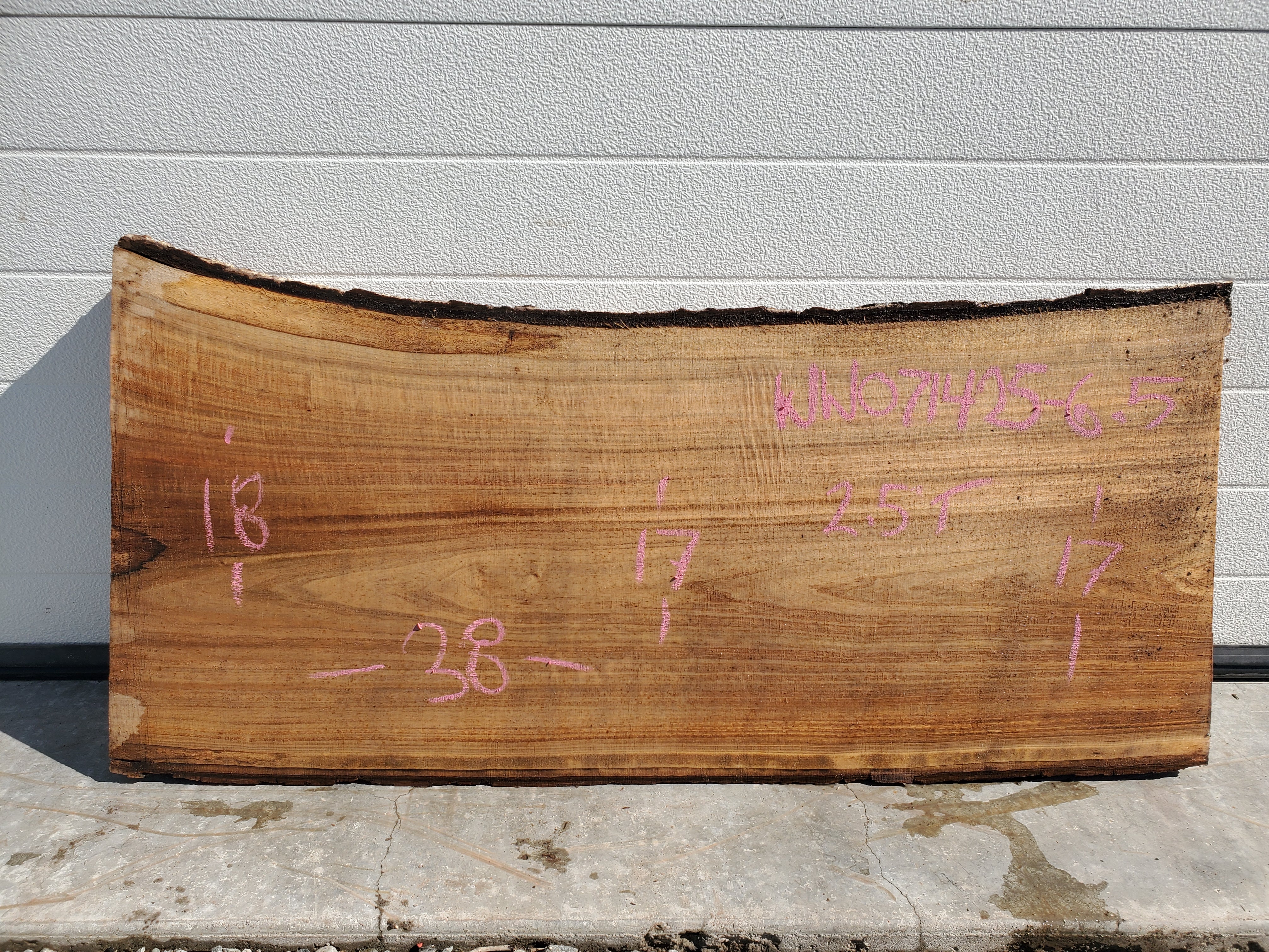 White Walnut - WW071425-7.5*