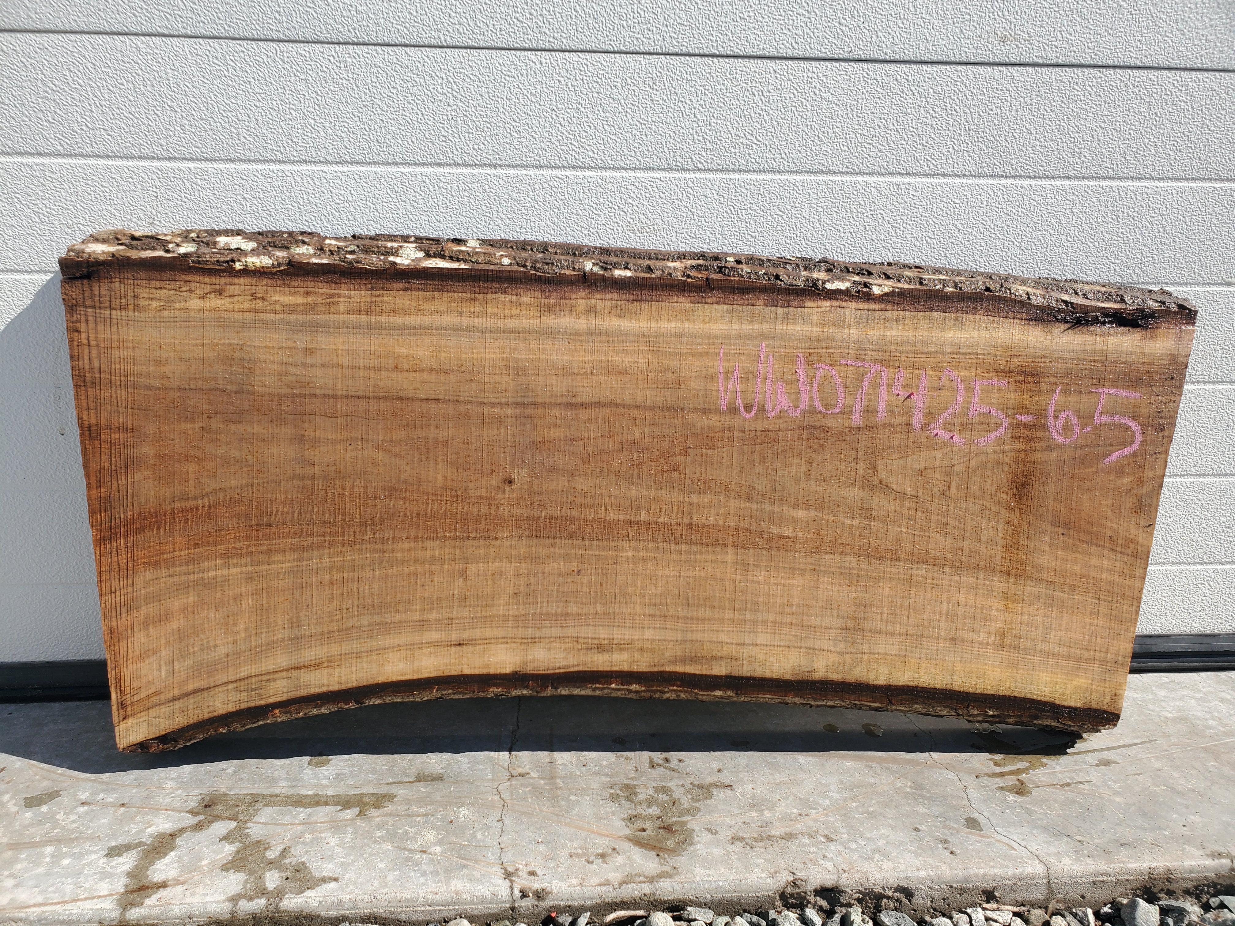White Walnut - WW071425-7.5*