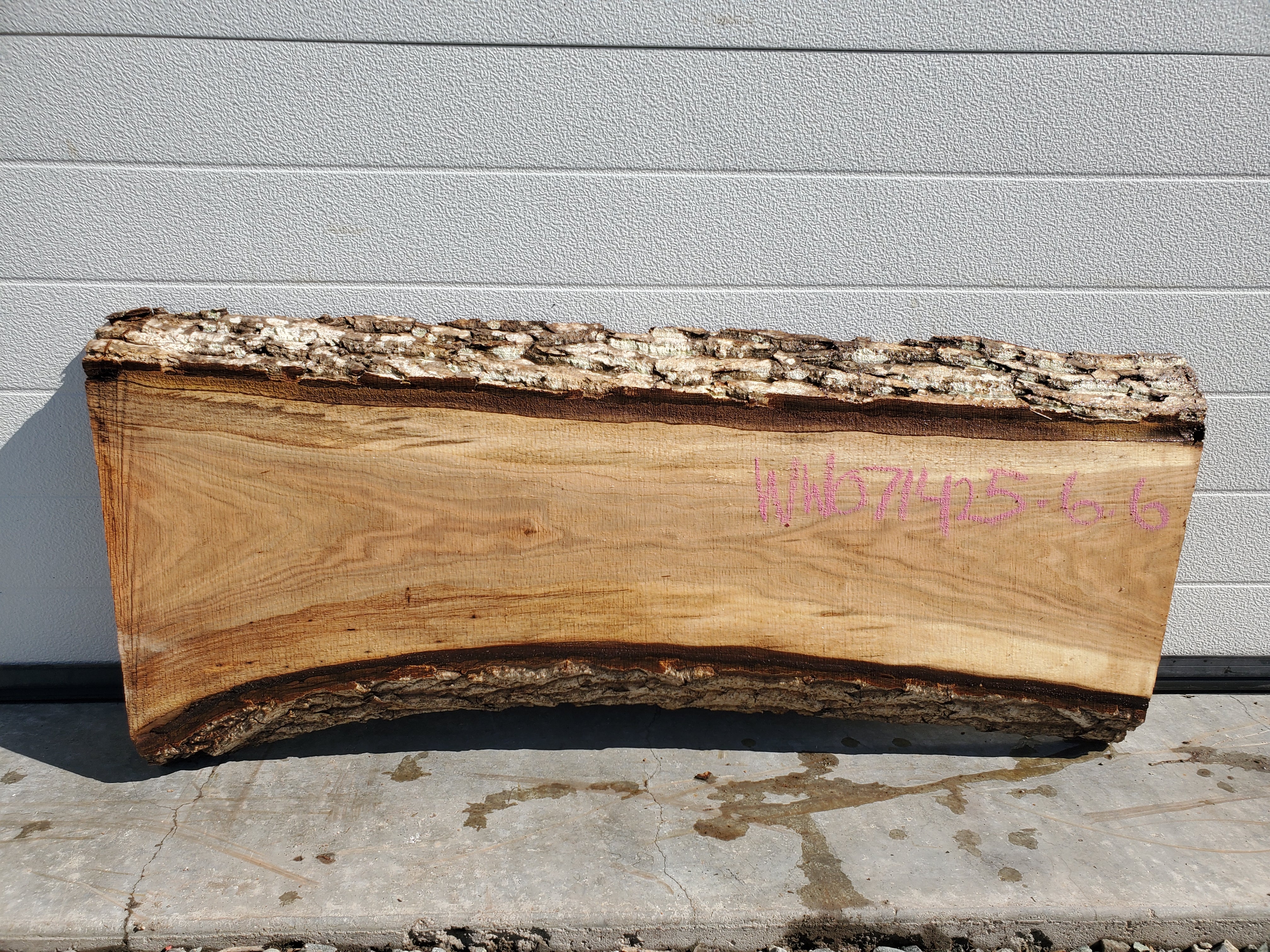 White Walnut - WW071425-7.6*